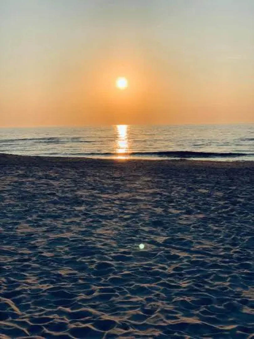 Ciki Puki Pajurys by alia Kopa