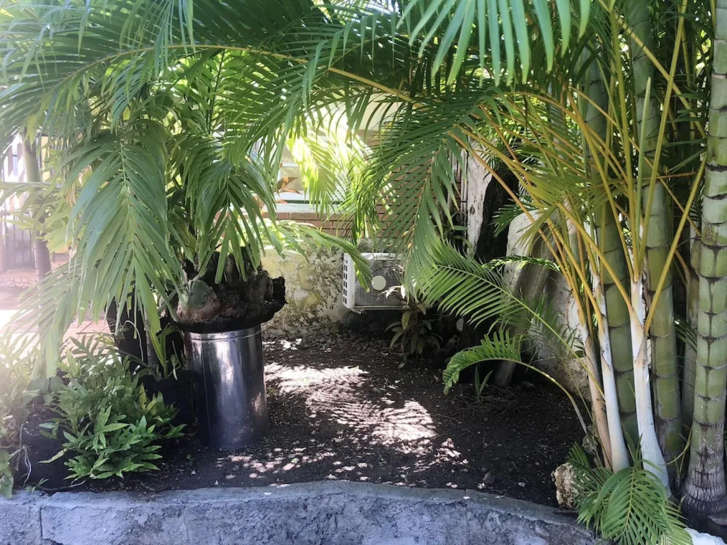 Studio in Basse Terre, With Enclosed Garden and Wifi