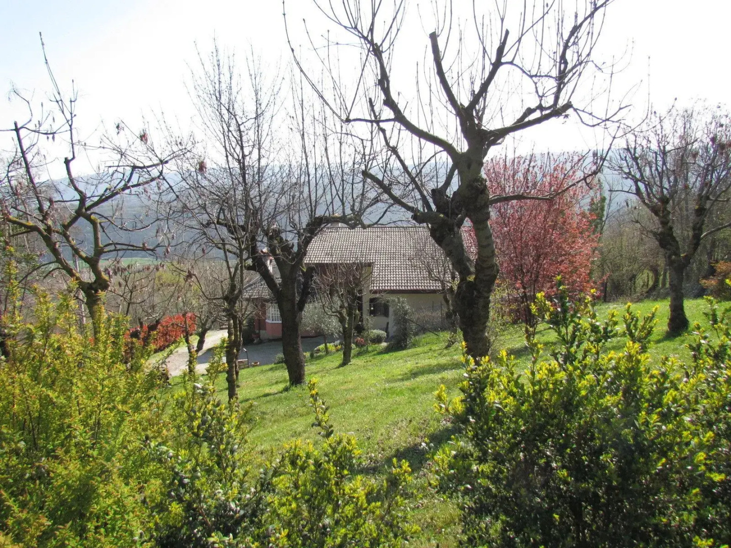 B&B Il Suono del Bosco