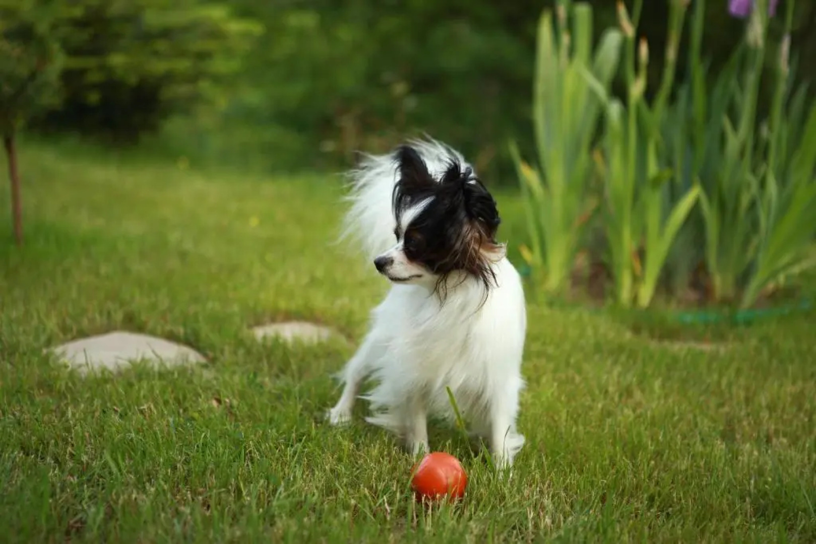 Комплекс апартаментов «ФАВАР Карпаты»