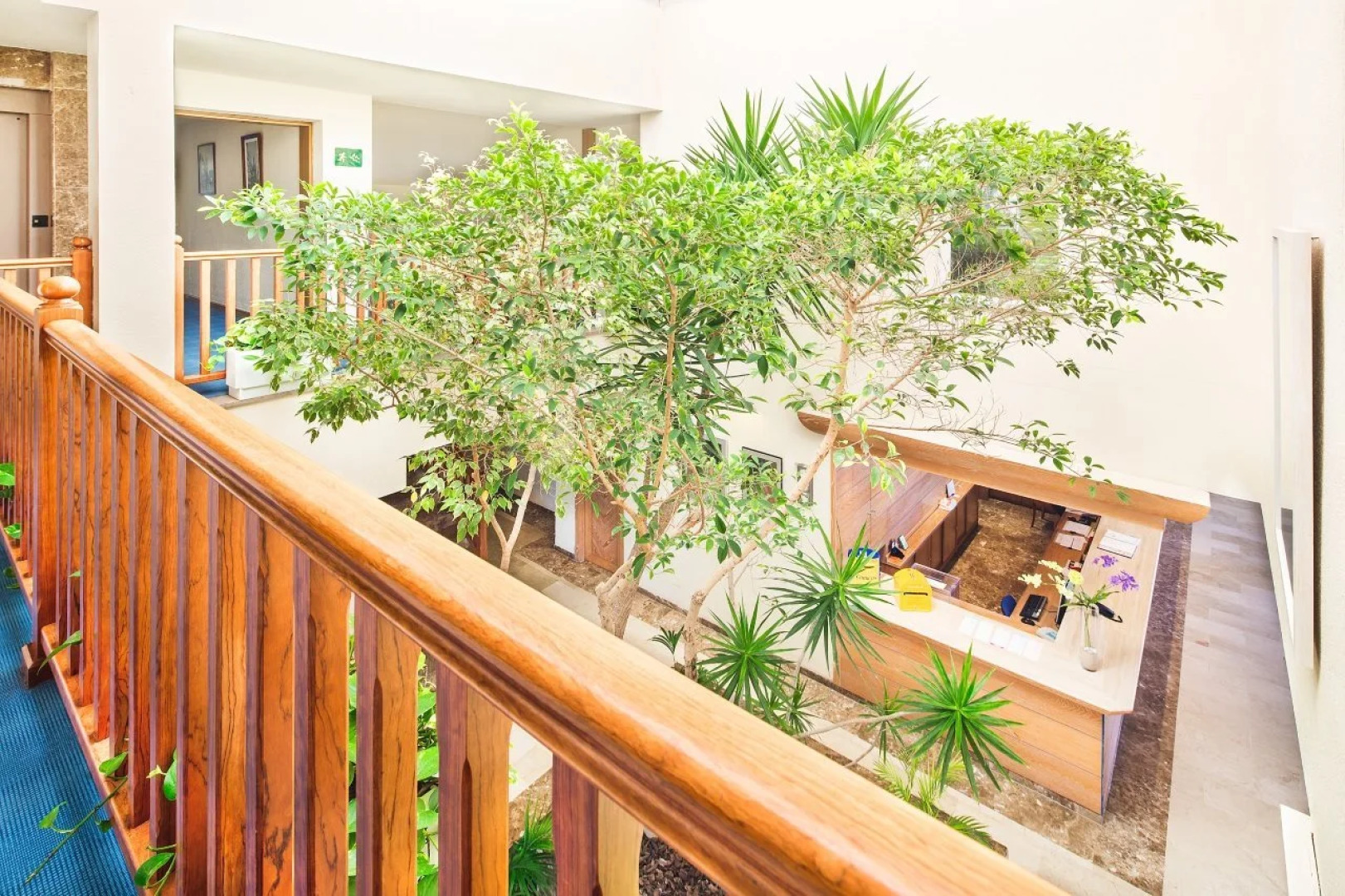 Апарт-отель THB Guya Playa