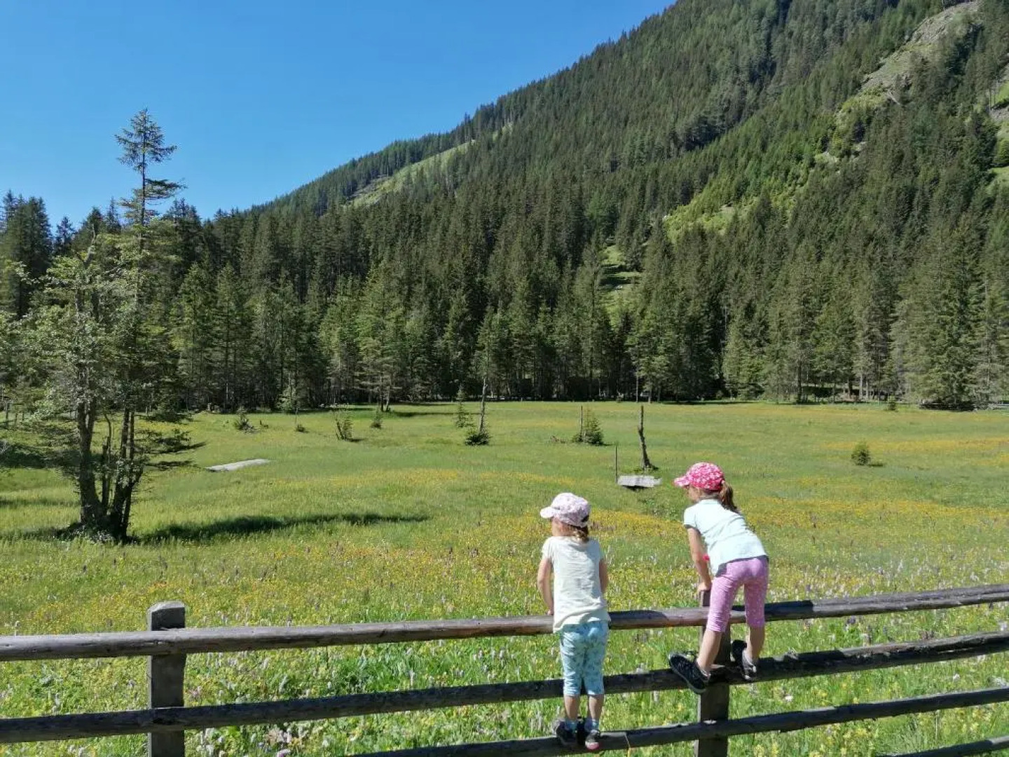Ferienwohnung Holzer
