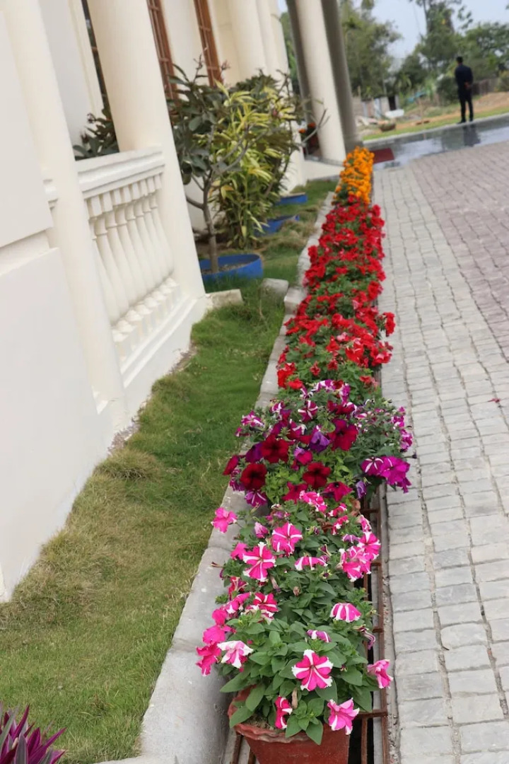 ROYALE de' CASA RESORT KAZIRANGA