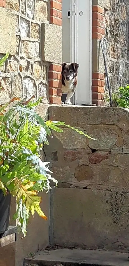 Maison de la Comtesse