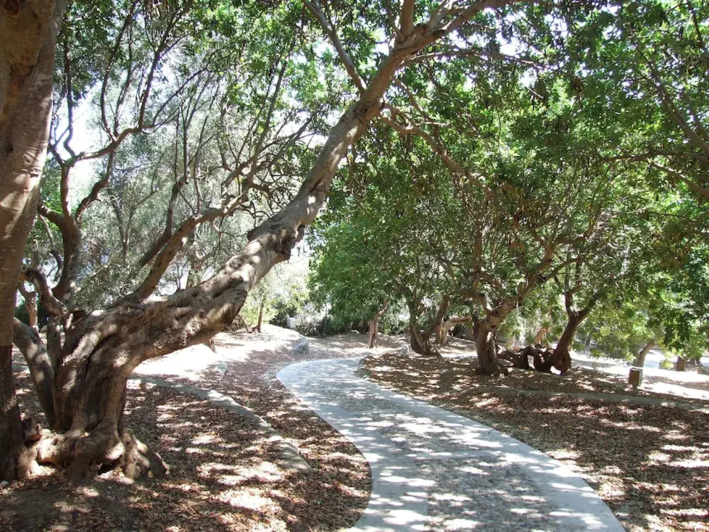 Villaggio Hotel Ripa