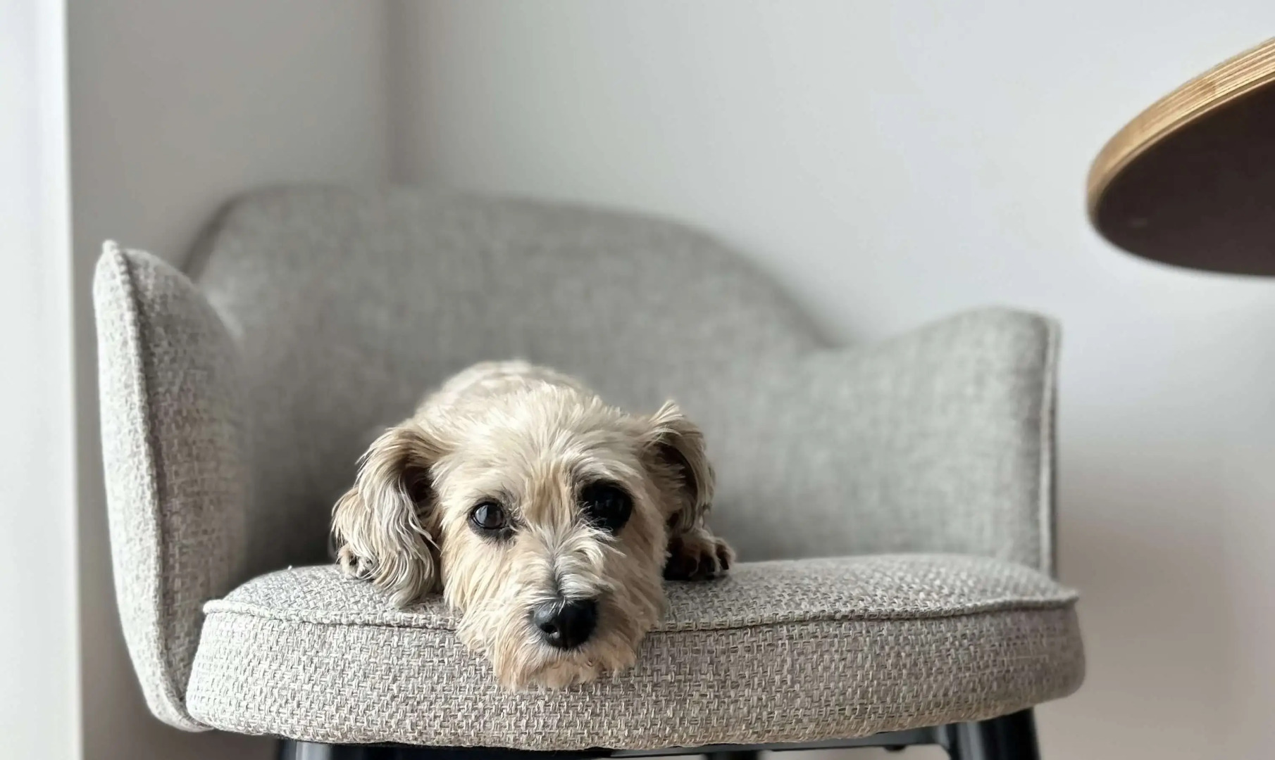 Best Western Plus Ten Hotel