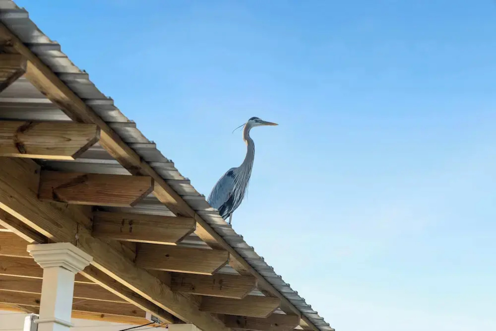 Secluded Waterfront Retreat for 23 Dock, Pets OK