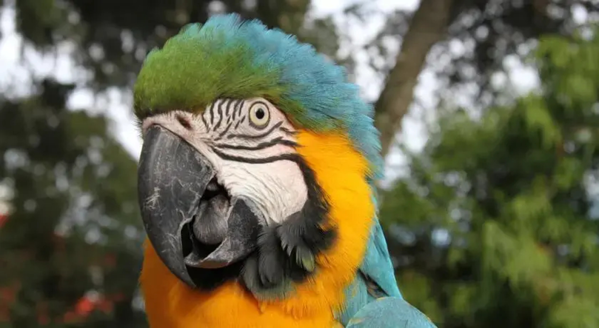 Royal Nesu Retreat House