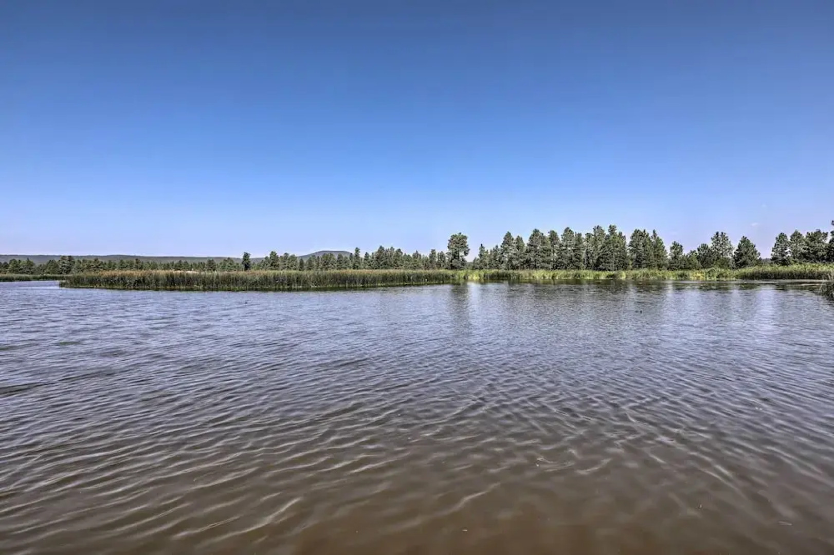 Bright & Modern Flagstaff Cottage Escape!
