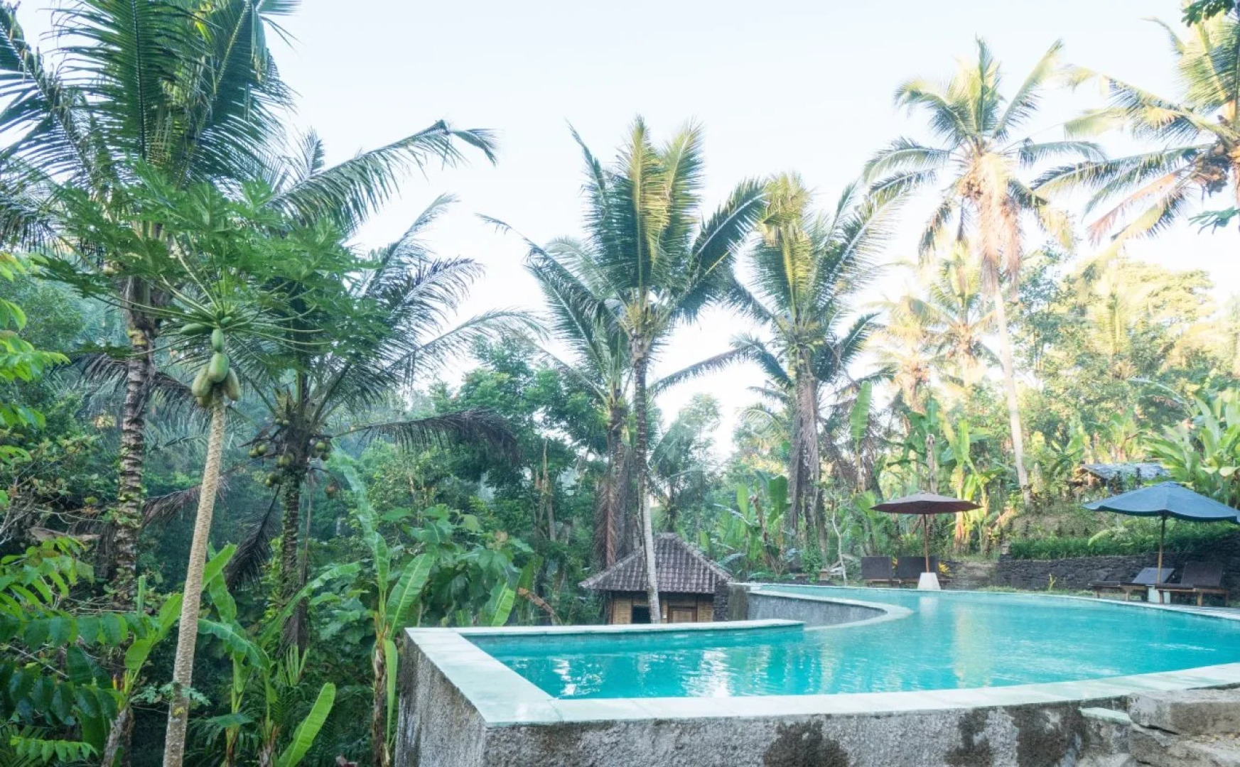 Song Broek Jungle Resort