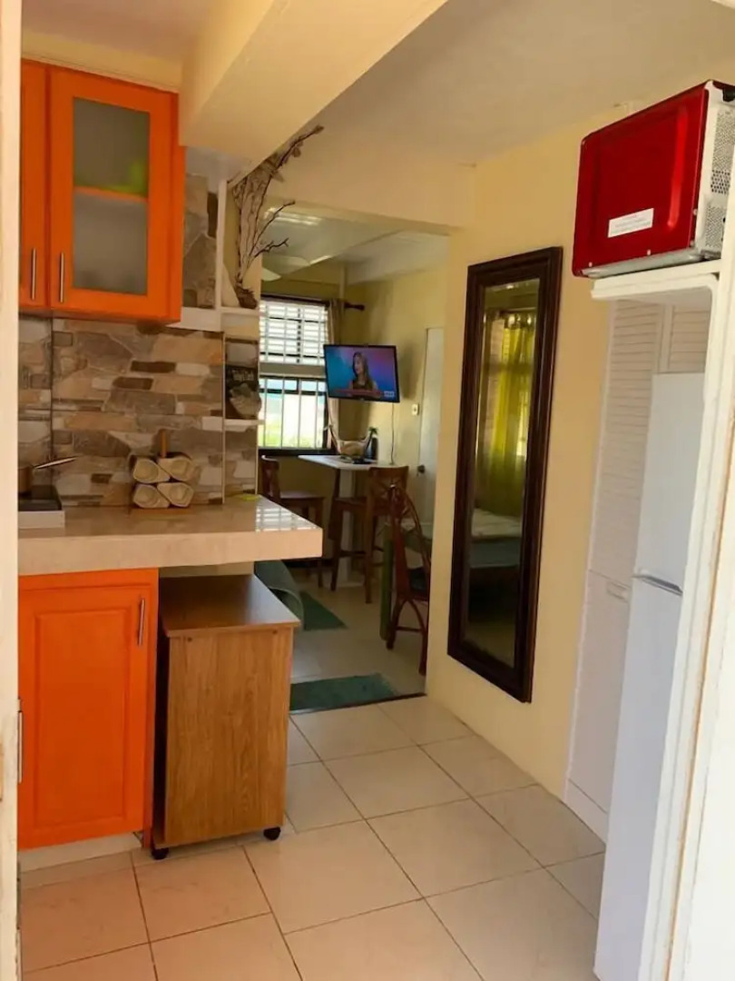 Belle Rive Oceanfront Apartment