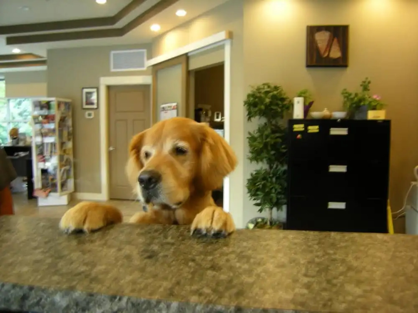 Oceanside Village Resort