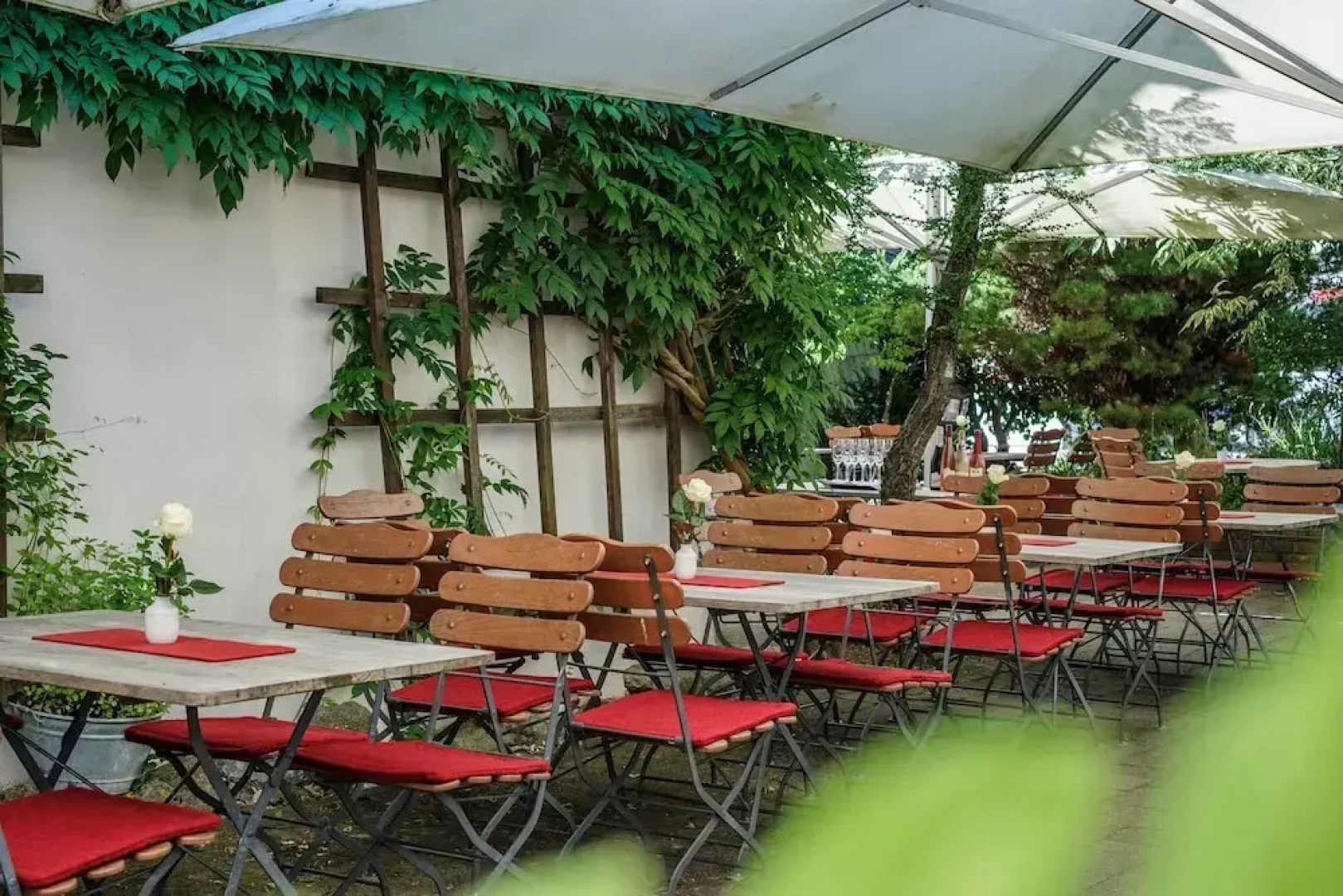 BIO-Hotel Adler/Restaurant