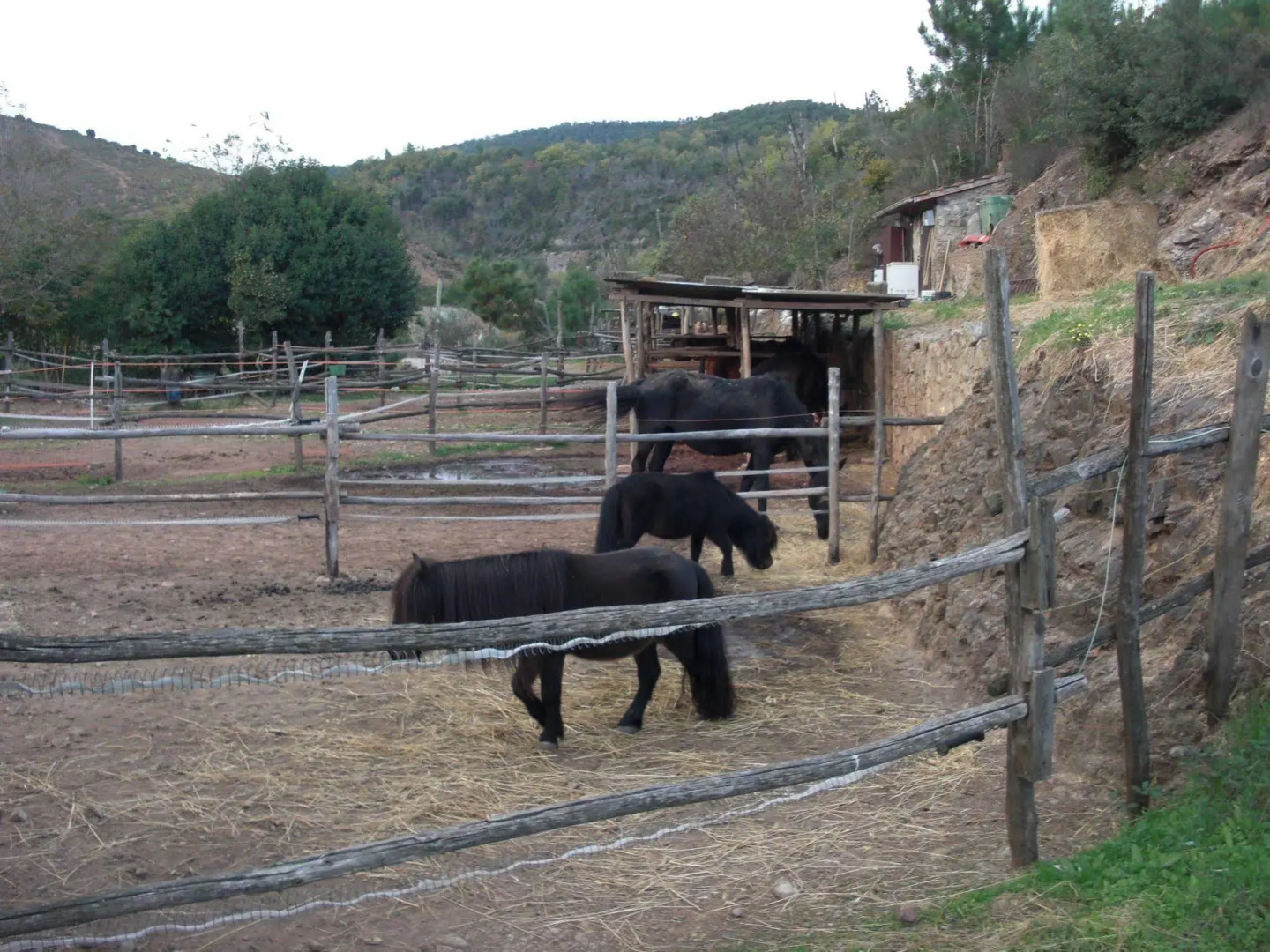 La Locanda Del Minatore