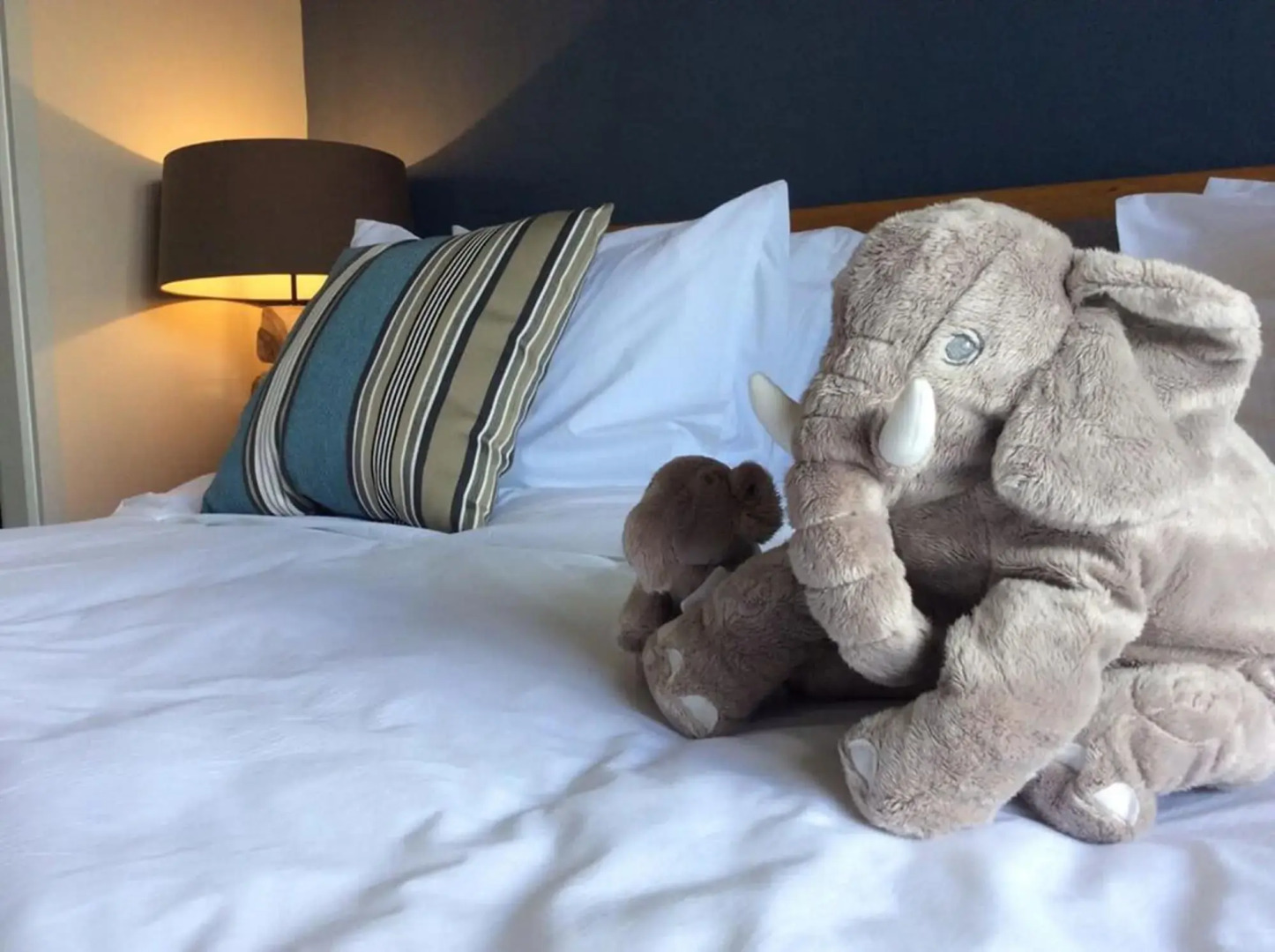 Away 23 Degree Estate at Khaoyai