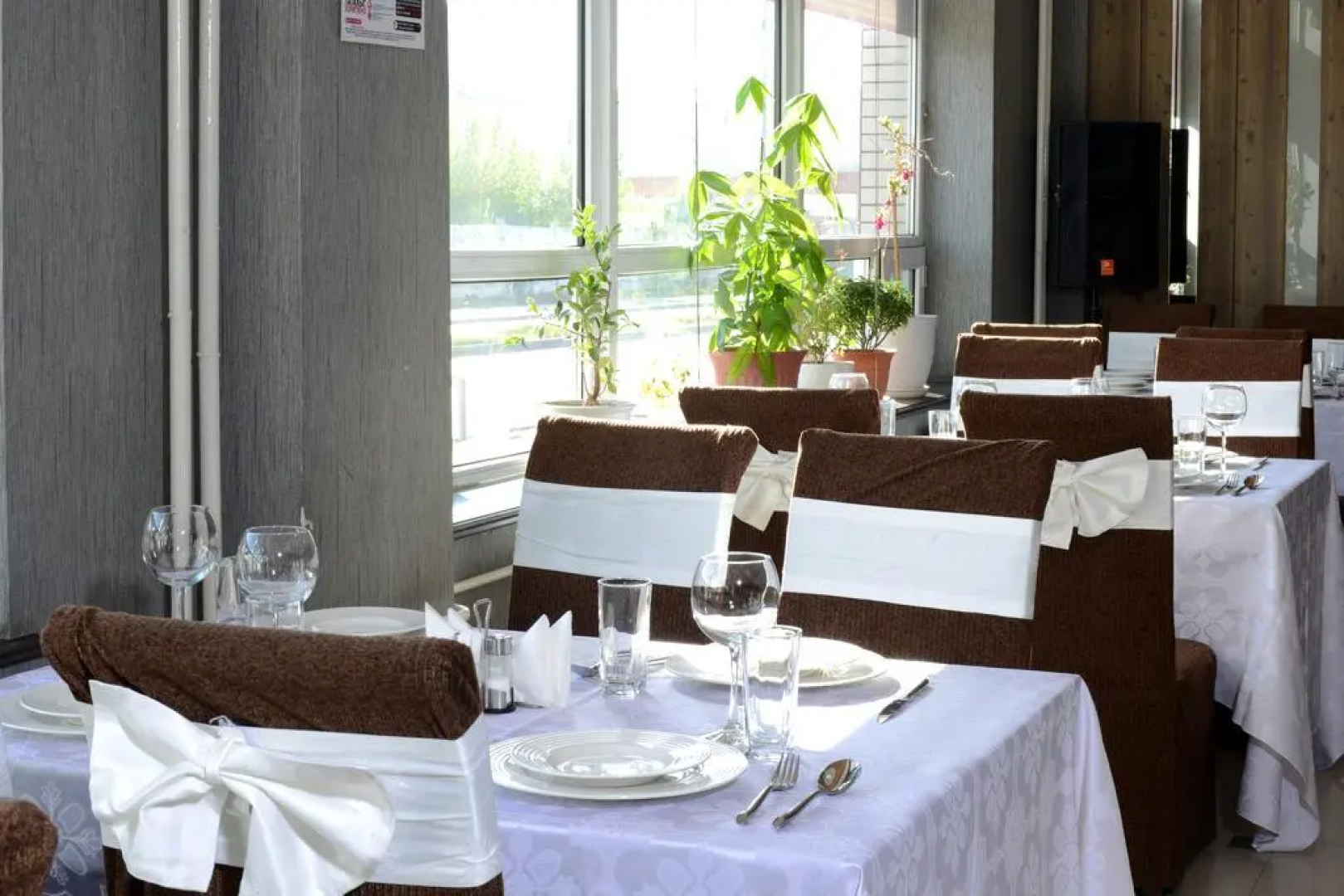 Zolo Hotel