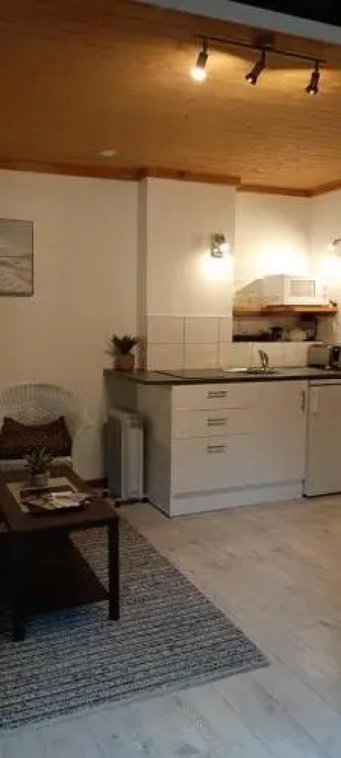 Buena Vista Apartment