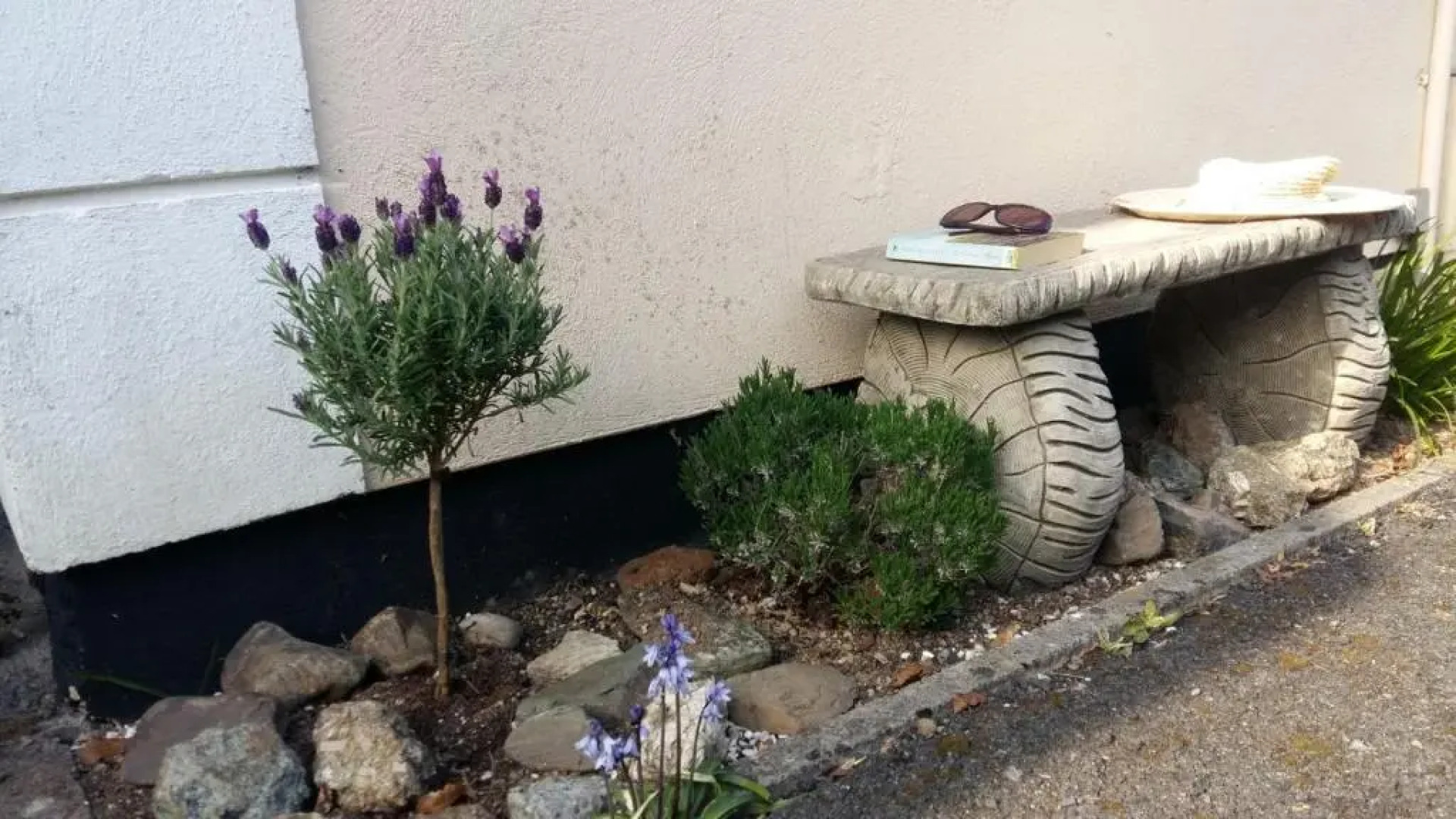 Bossell Cottage Devon