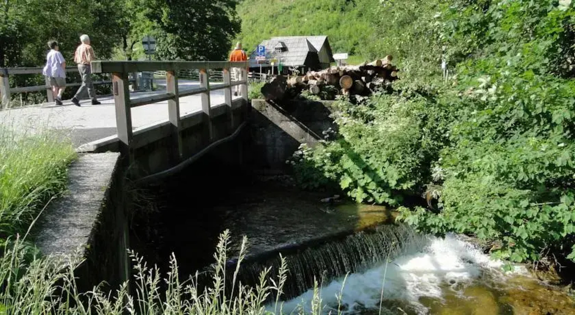 Zinkhaus - Waldheimat Alpl