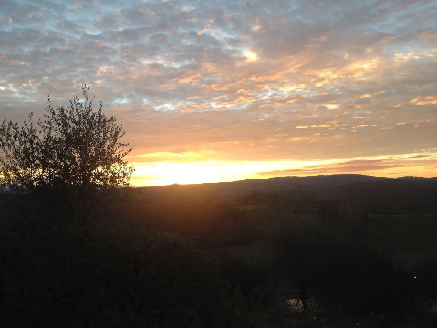 Castello Del Nero - Podere San Filippo