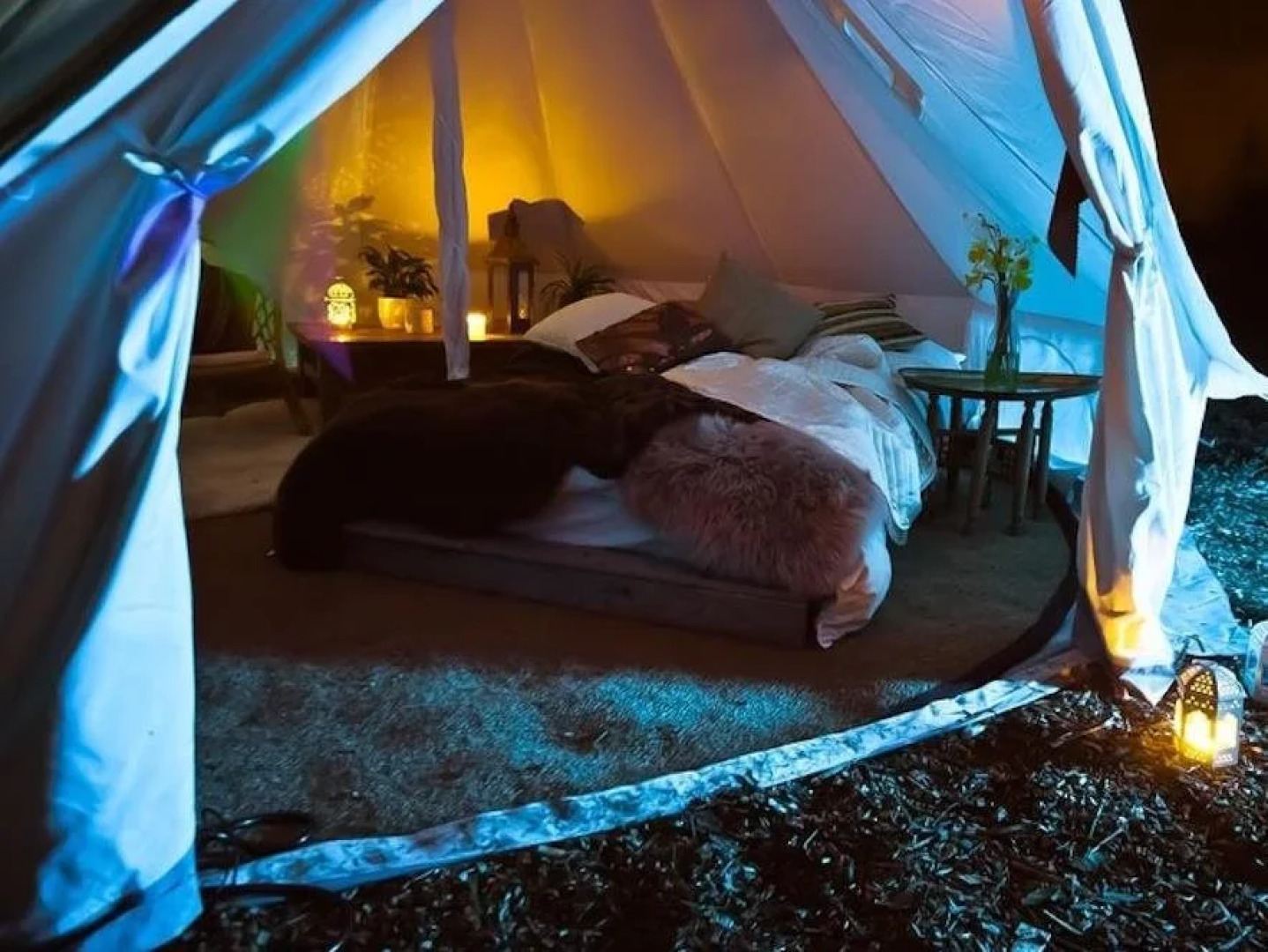 Plush Tents Glamping