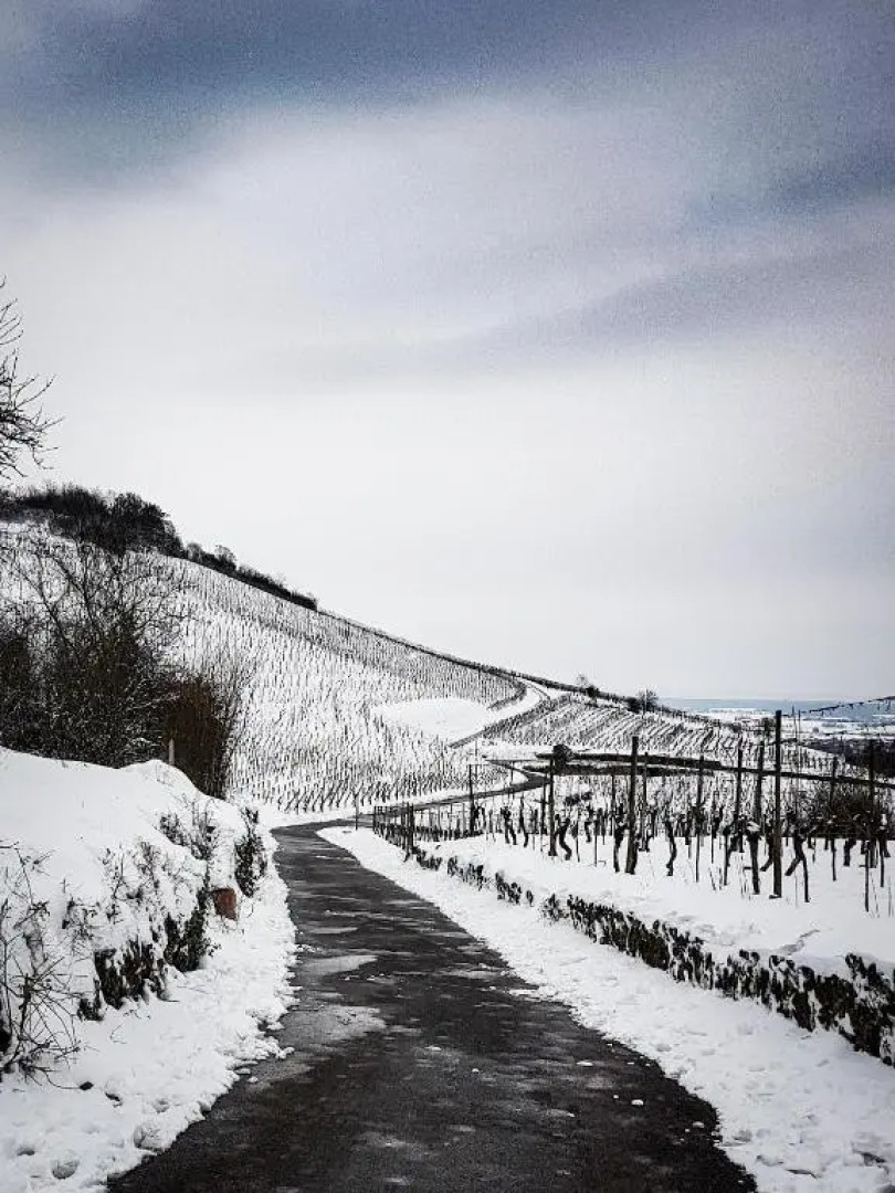 Terrasses du Zimmerberg