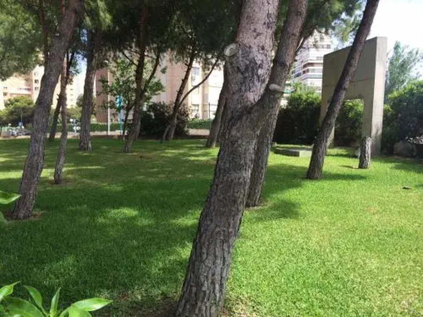 Club del Mar