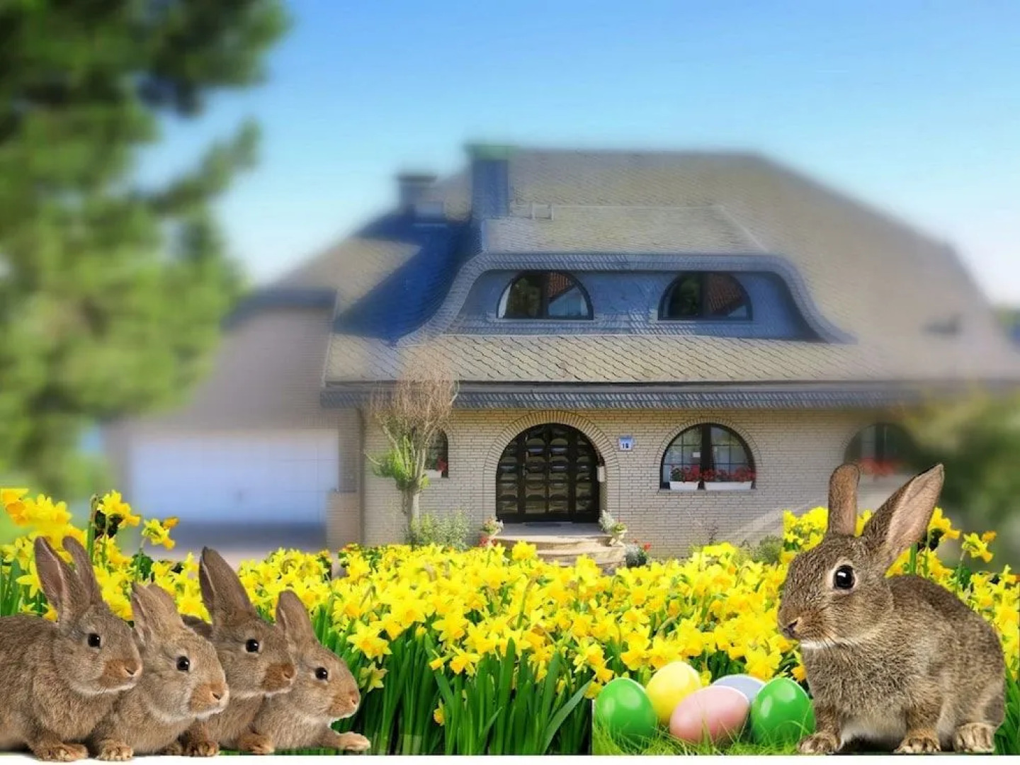 Villa Orchard Frankfurt