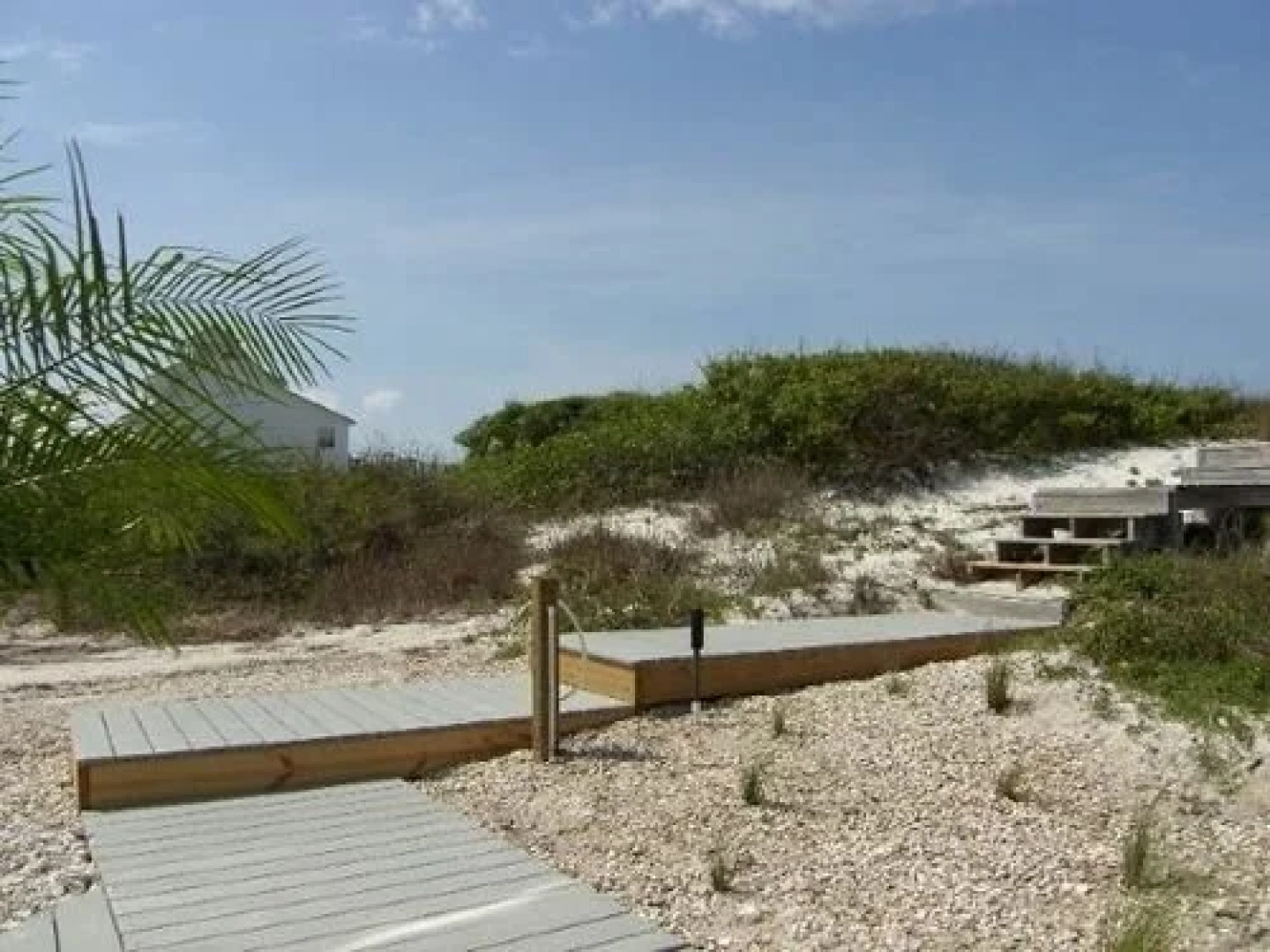 A Rendezvous, No Pets Allowed