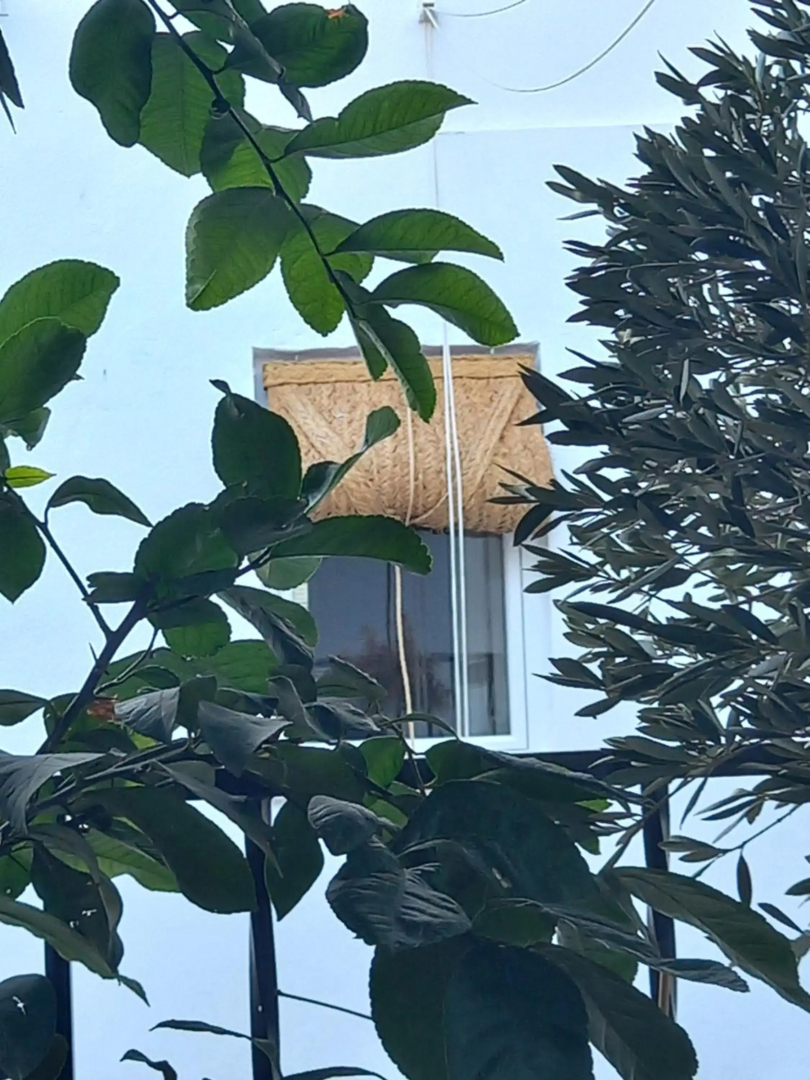 Tradicional Guesthouse Jazmines Mozarabes Casco histórico