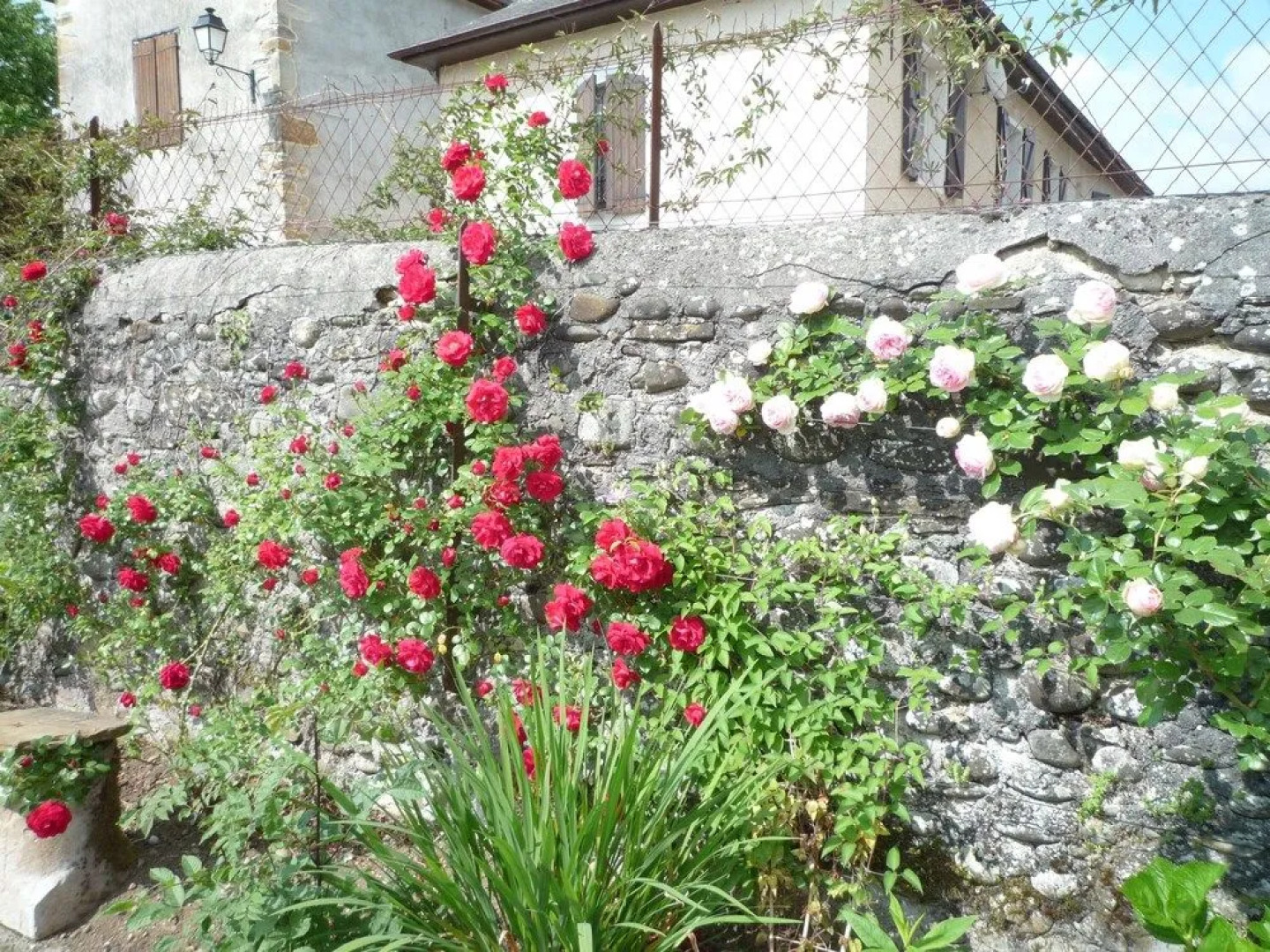 Béarn Bed & Breakfast