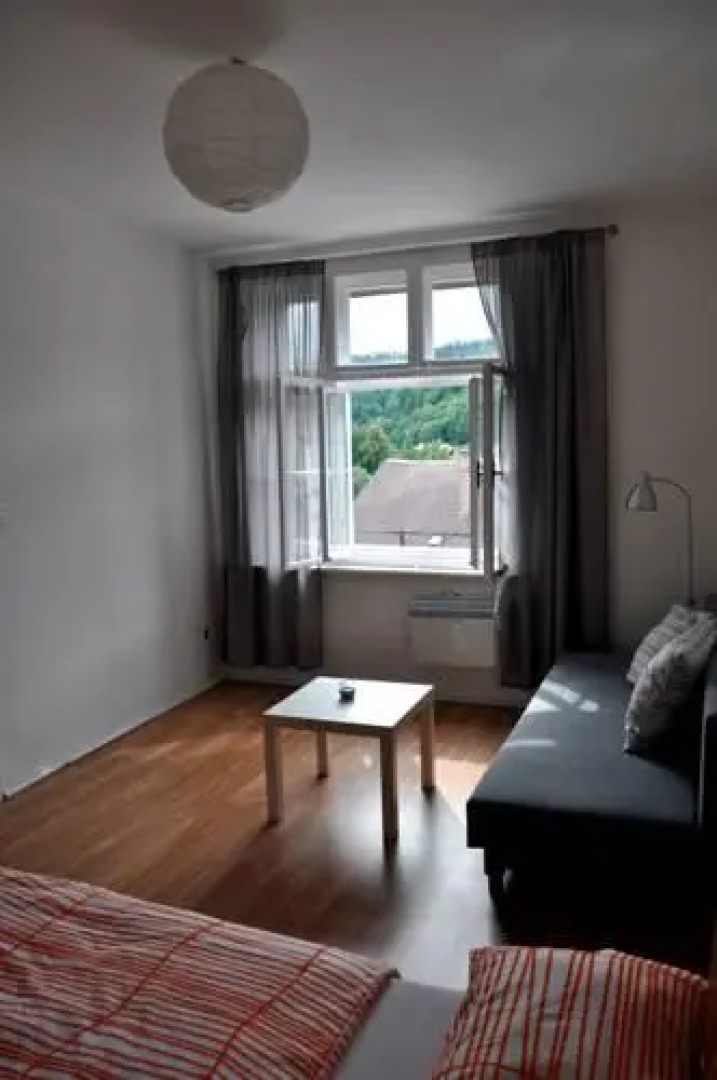 Apartmán u Mlsného medvěda