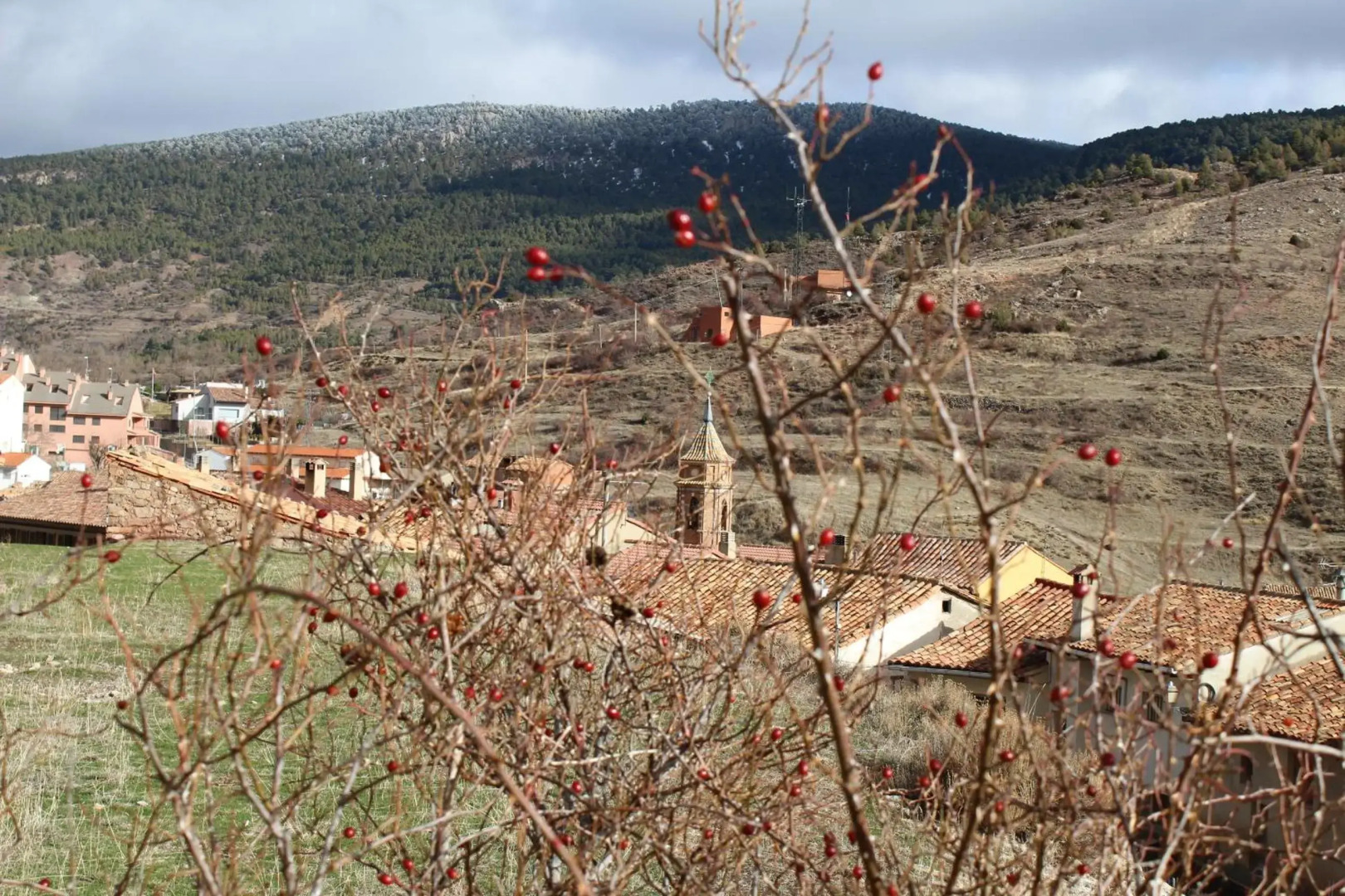 Fabuloso Apartamento En Camarena De La Sierra (Teruel)