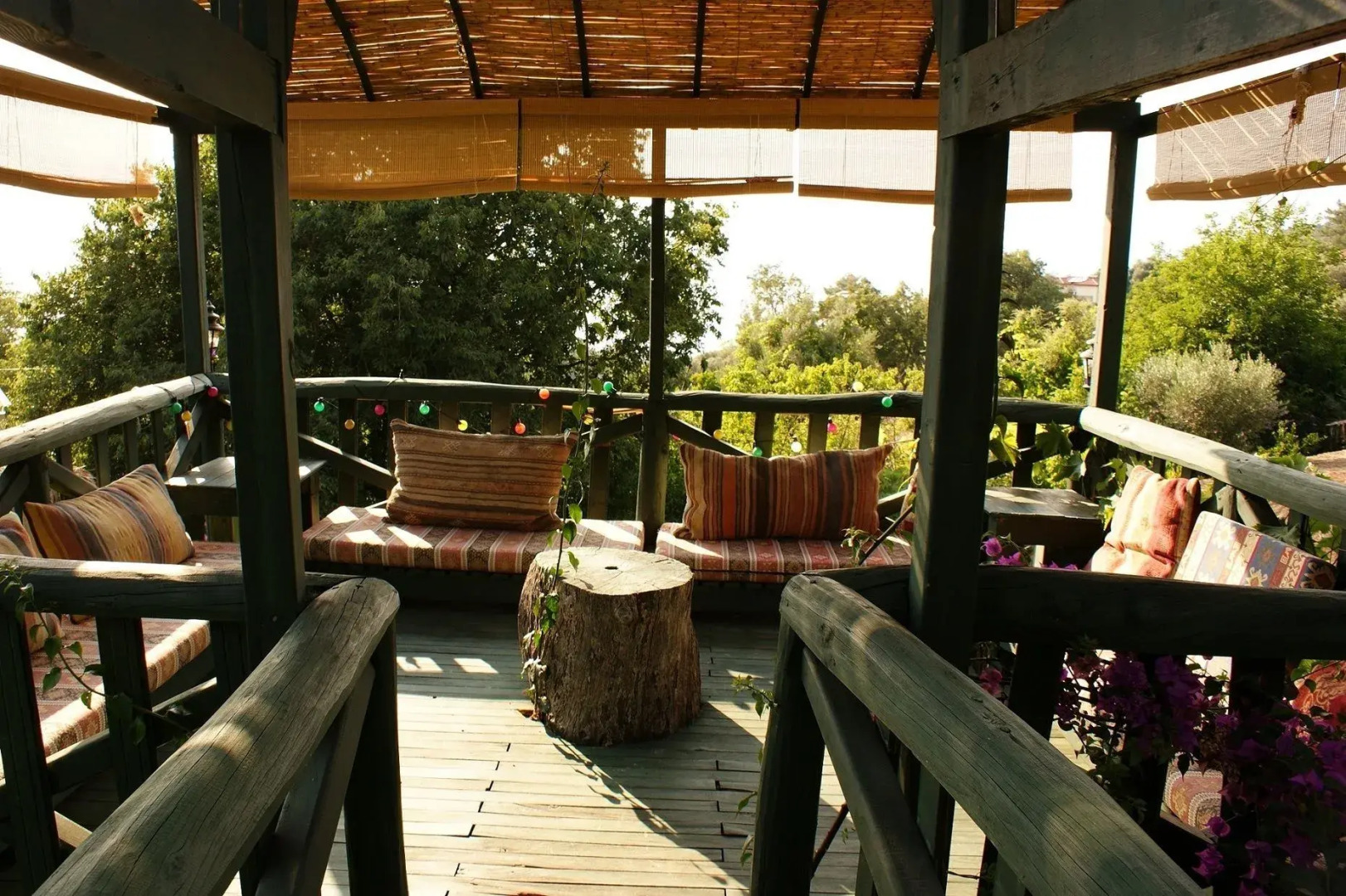 Lazy Lizard Boutique-Hotel