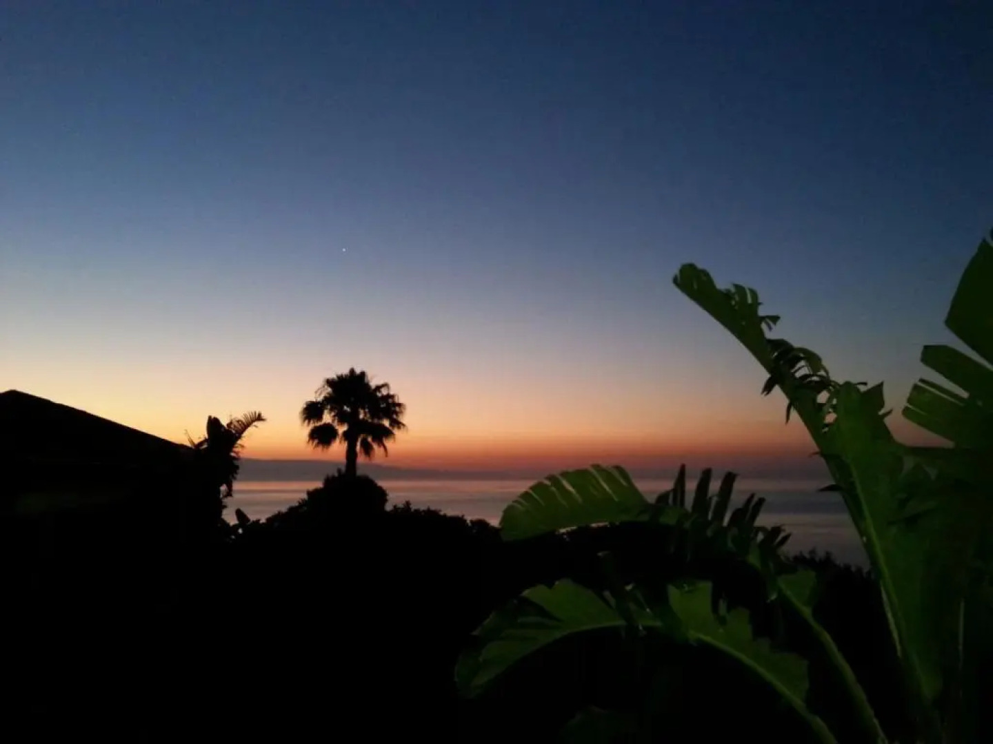 La casa del Belvedere