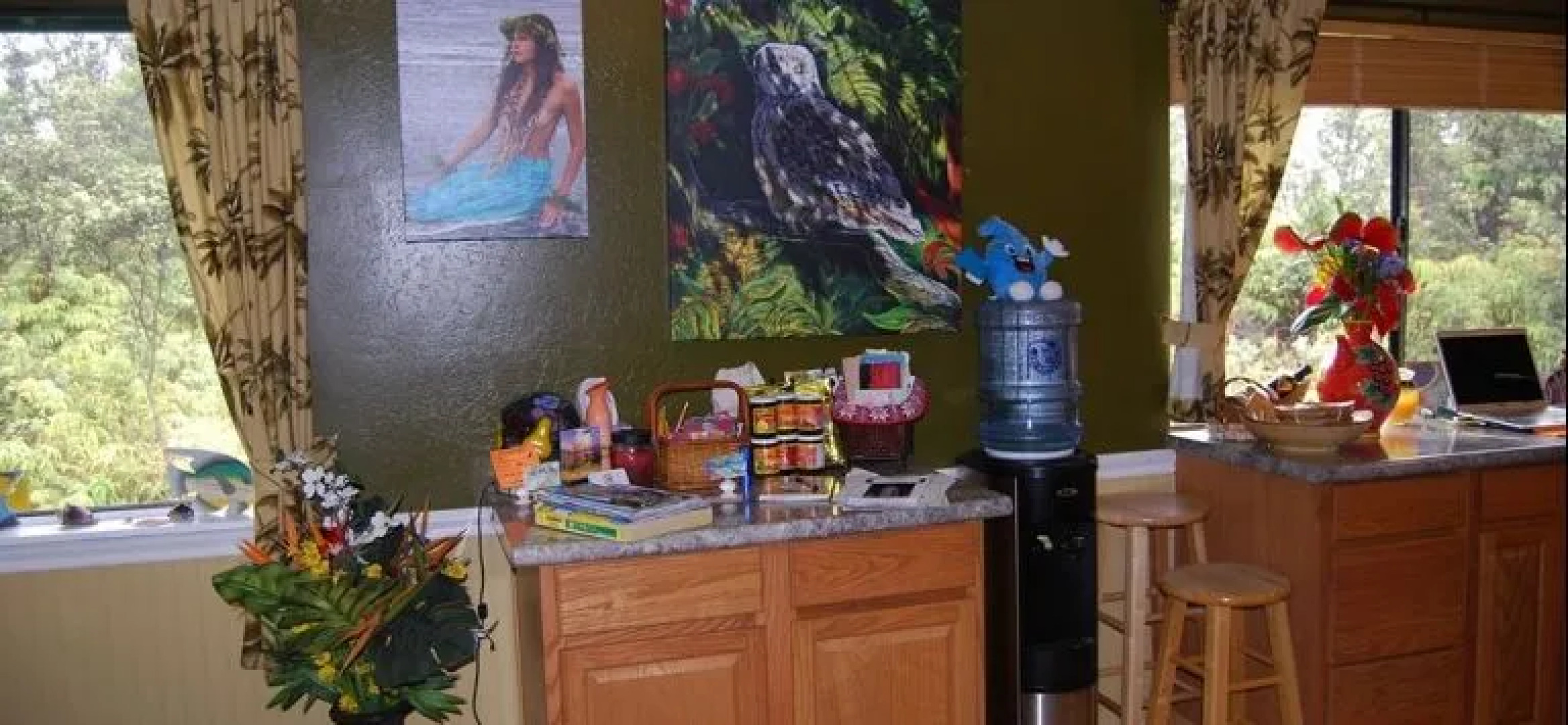 Volcano Artist Cottage