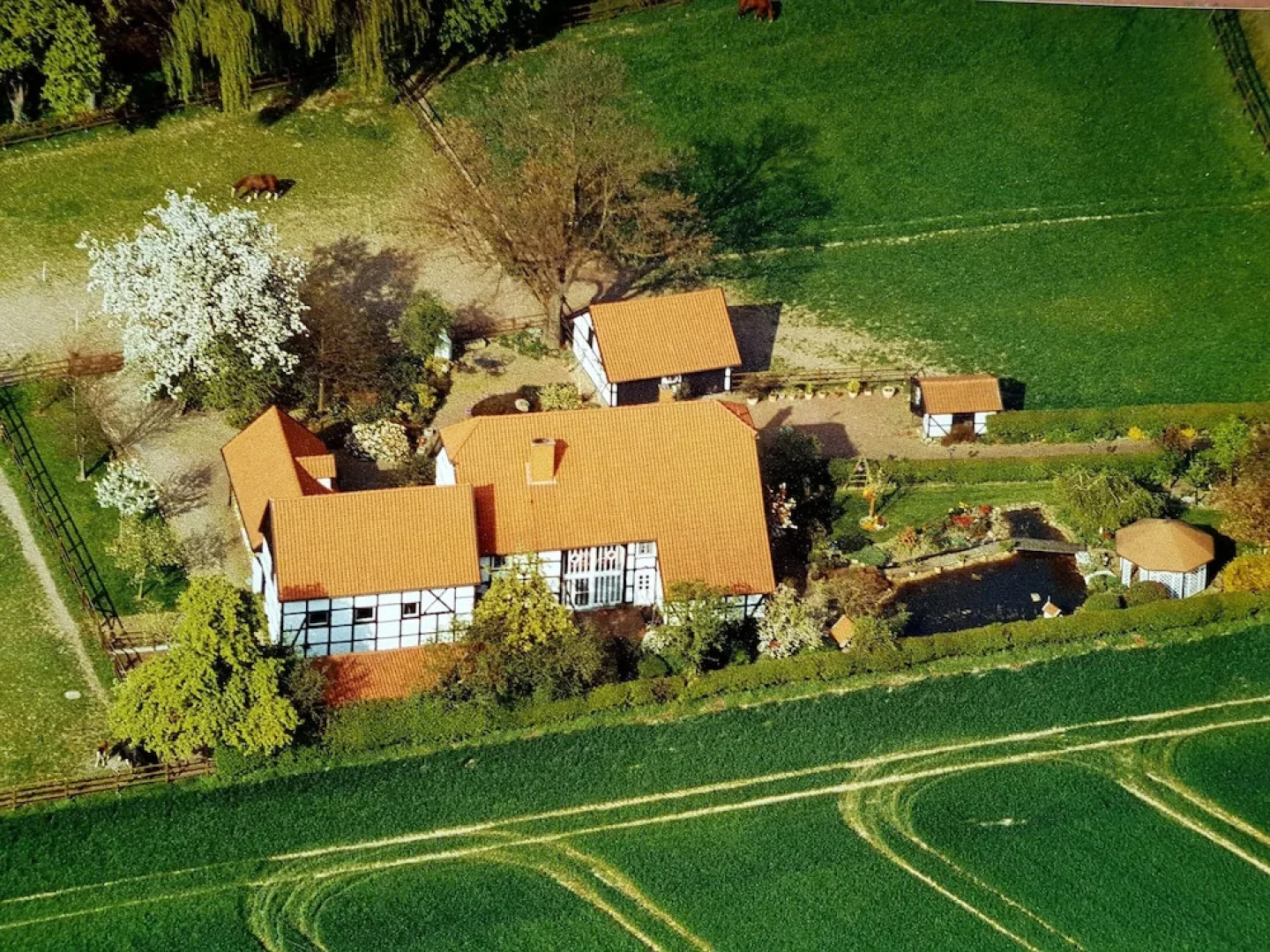 La Alqueria de las Alpacas - Alpakas am Ardey