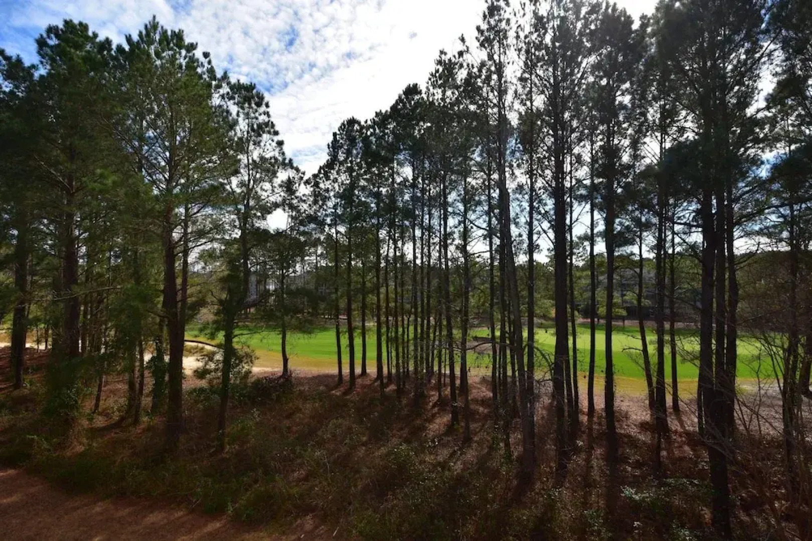 River Crossing Apartment 1233