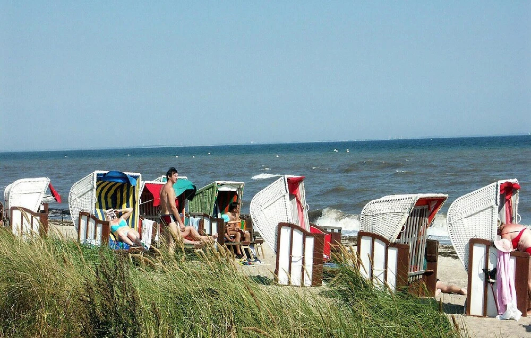 Seelöwe