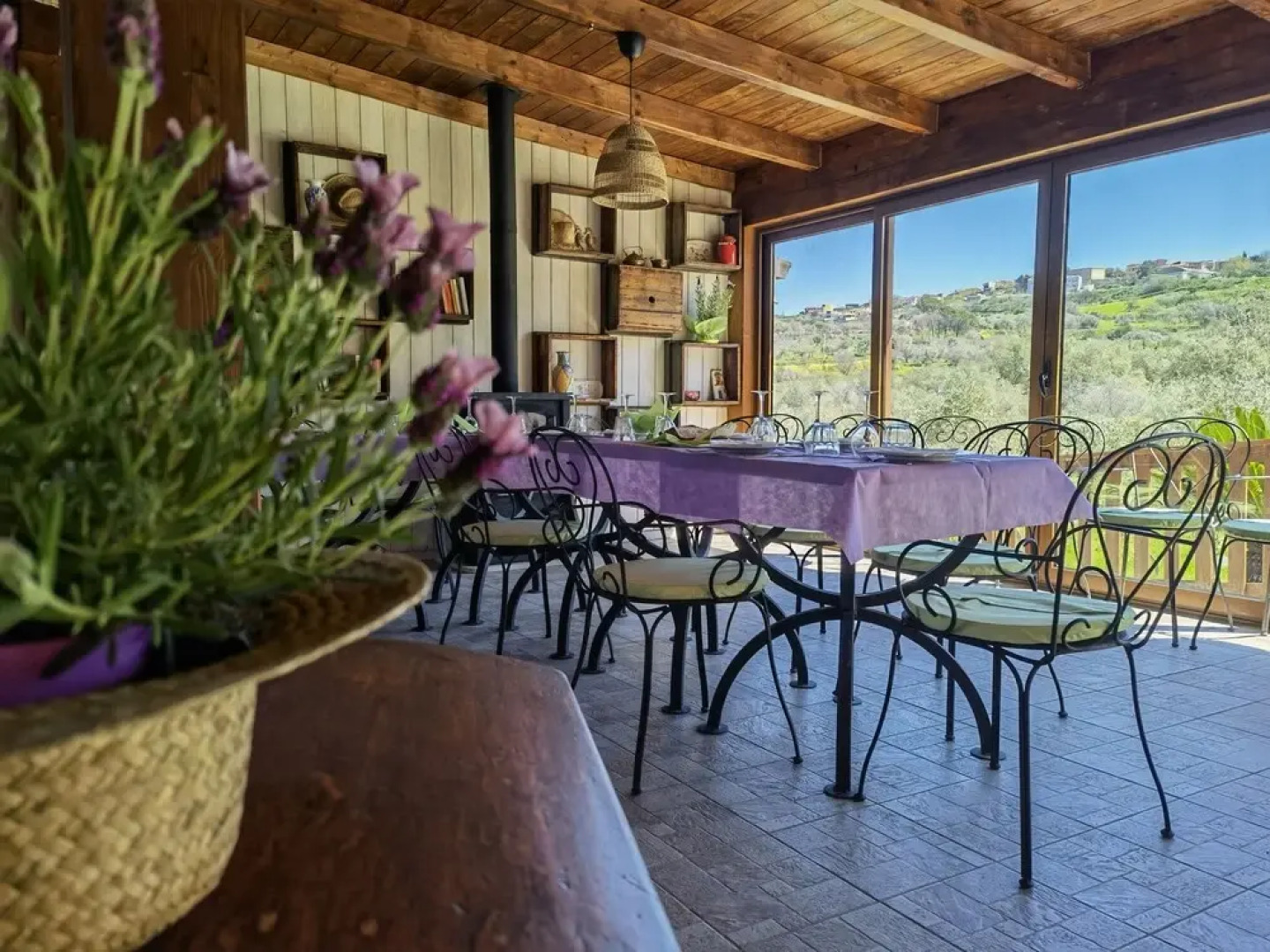 la corte degli ulivi