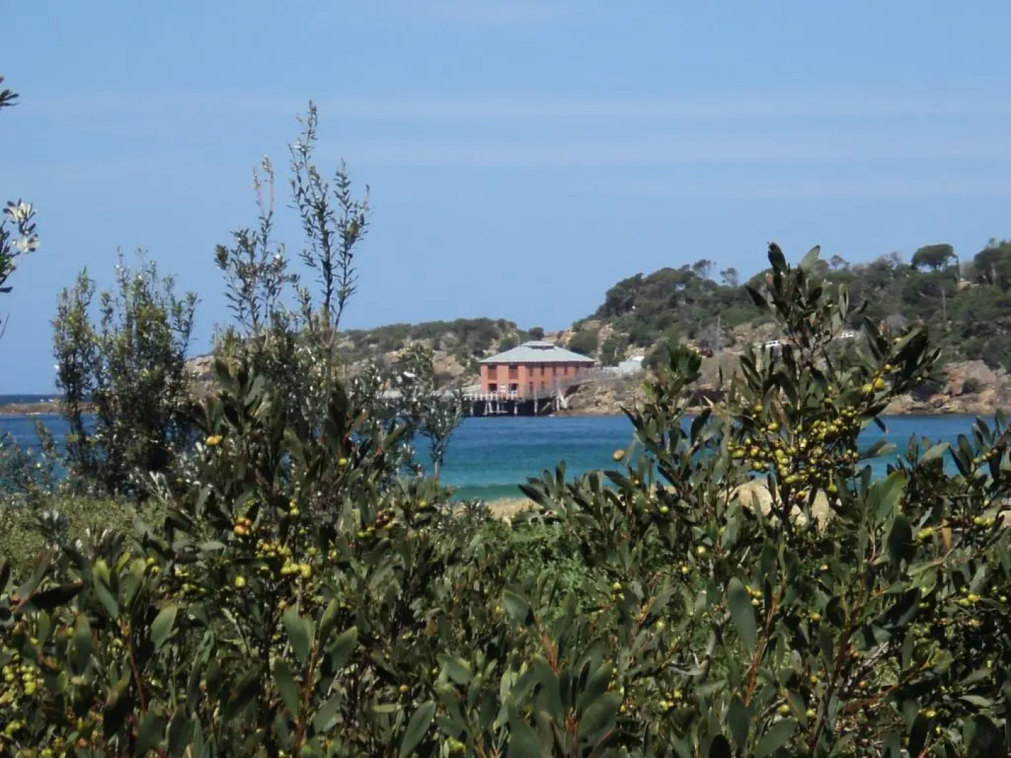 NRMA Tathra Beachfront Holiday Park