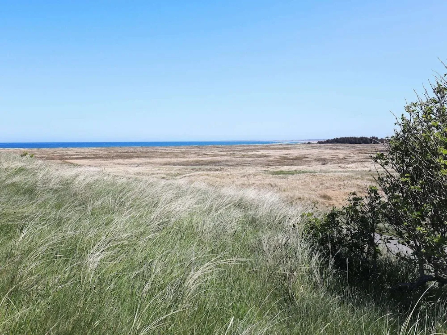 Secluded Retreat Near Sea - By Traum Ferienwohnungen