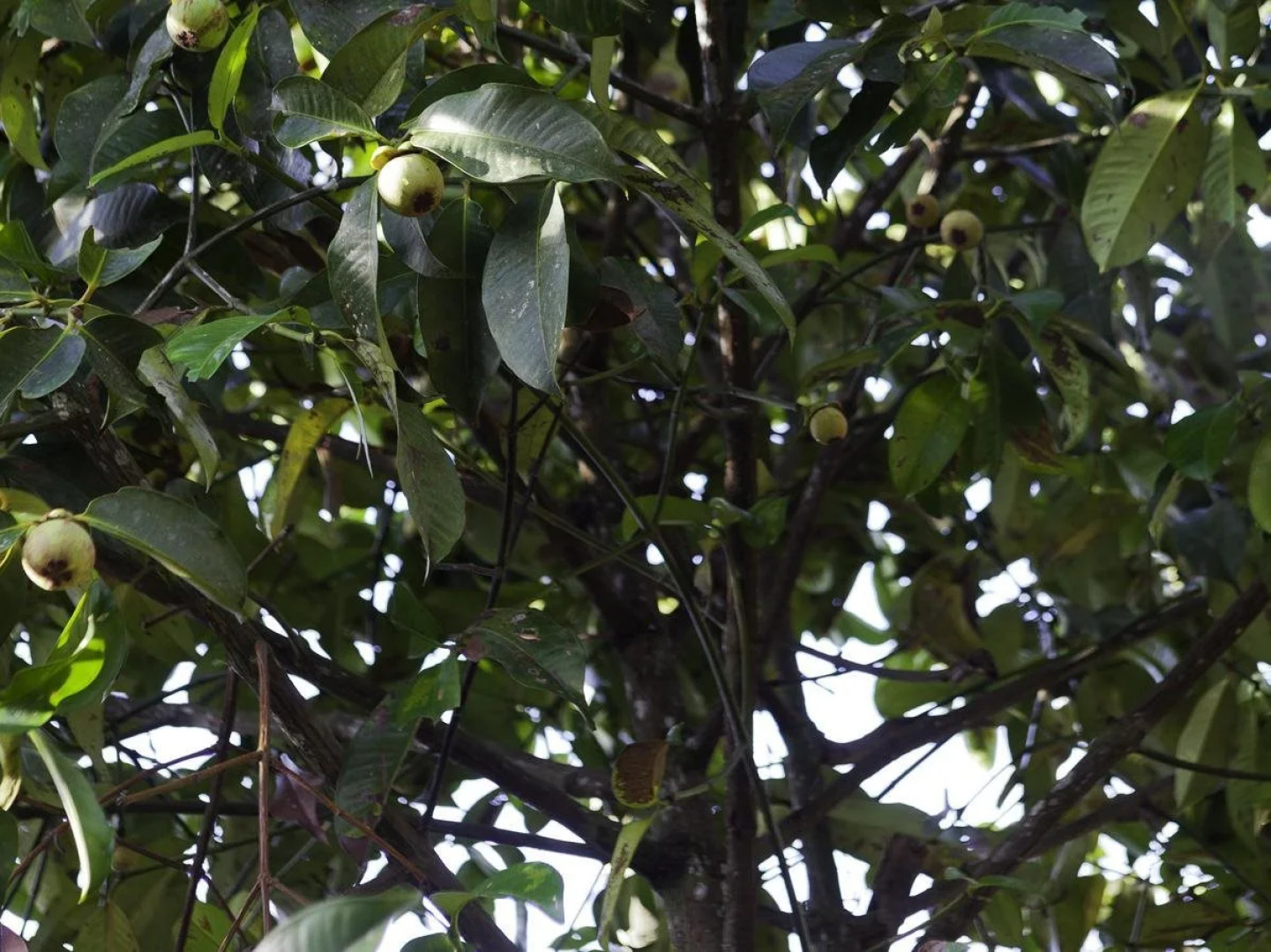 Tamsabai Resort Chumphon