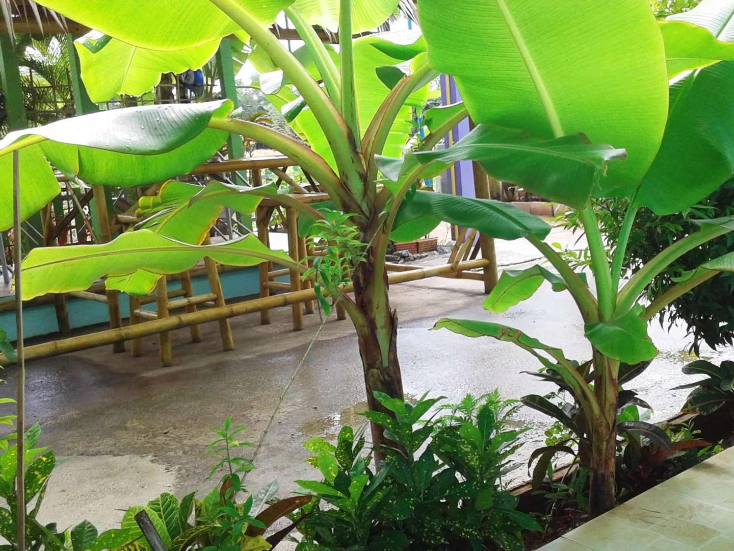 Stella Resort Khanom