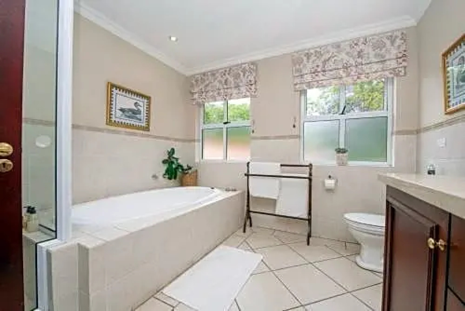 Wild Olive Executive Suite