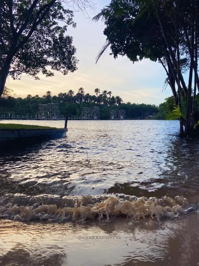 Lençóis Confort 201