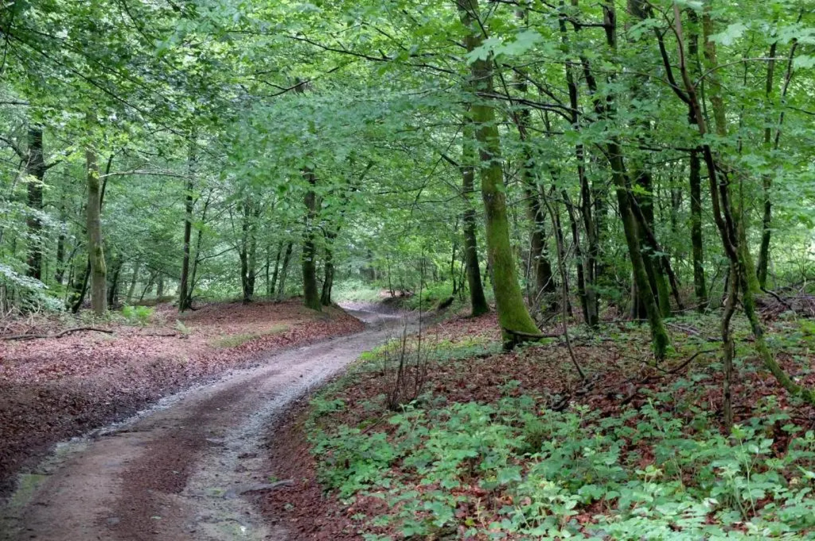 Maison d hôtes "Aux Légendes d Ardenne"