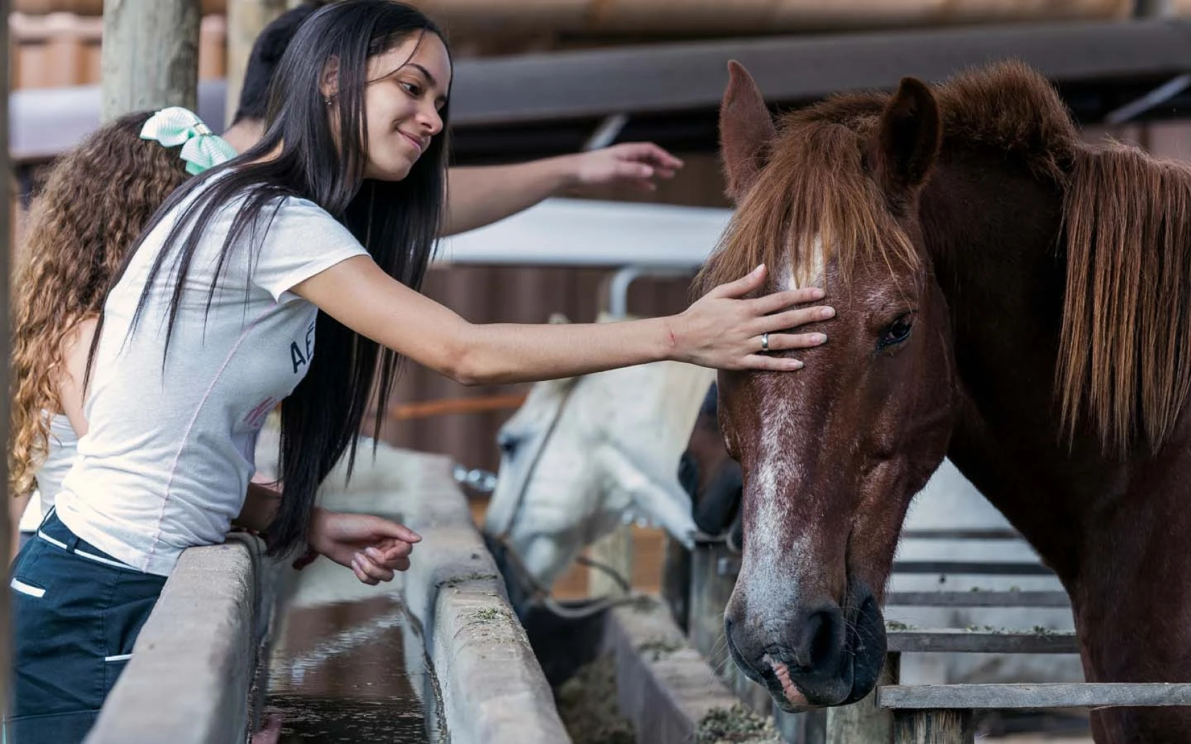 Hotel Fazenda Terra dos Sonhos