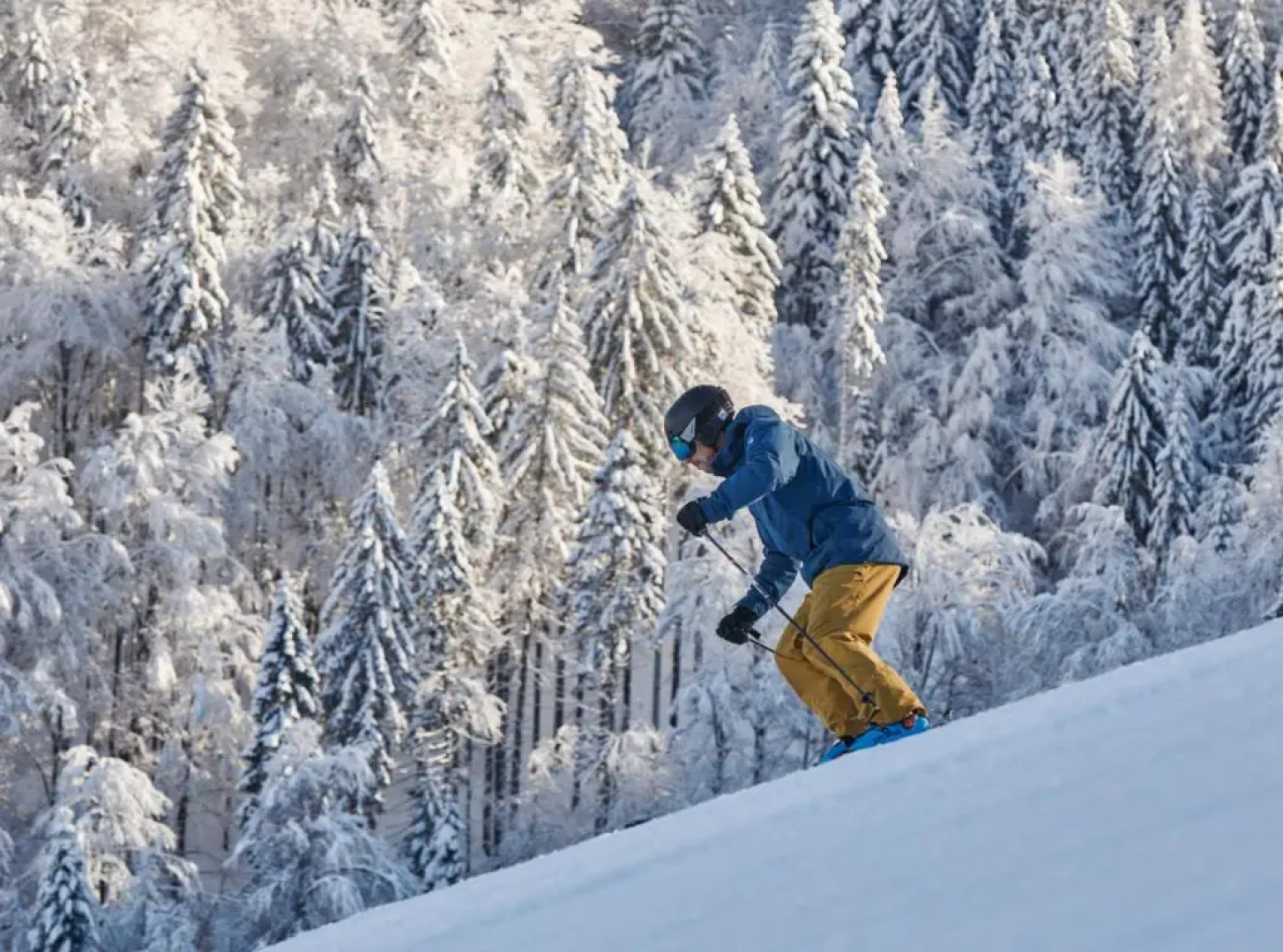 Alpska perla Apartments