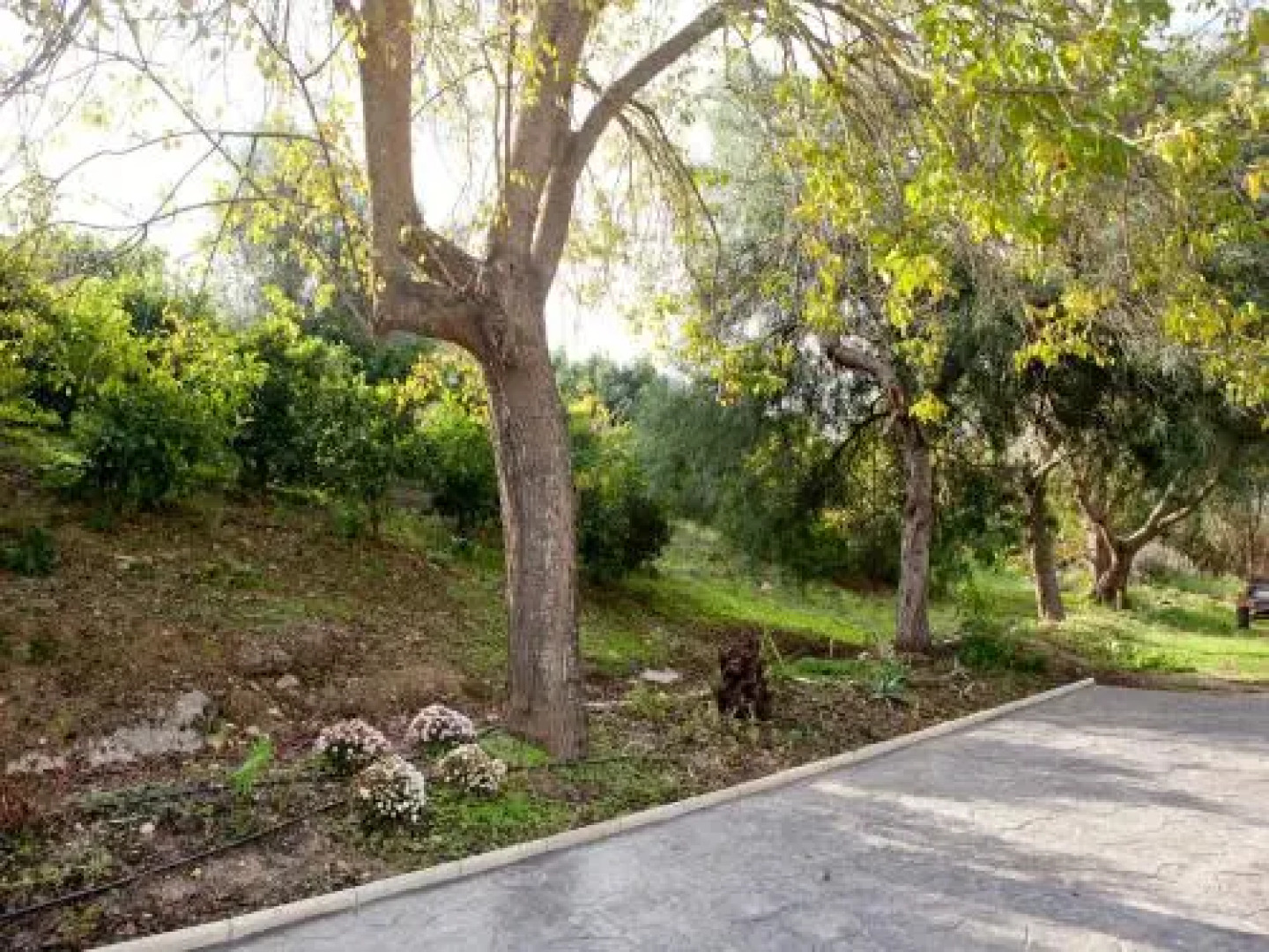 Casa Rural Vega el Dorado